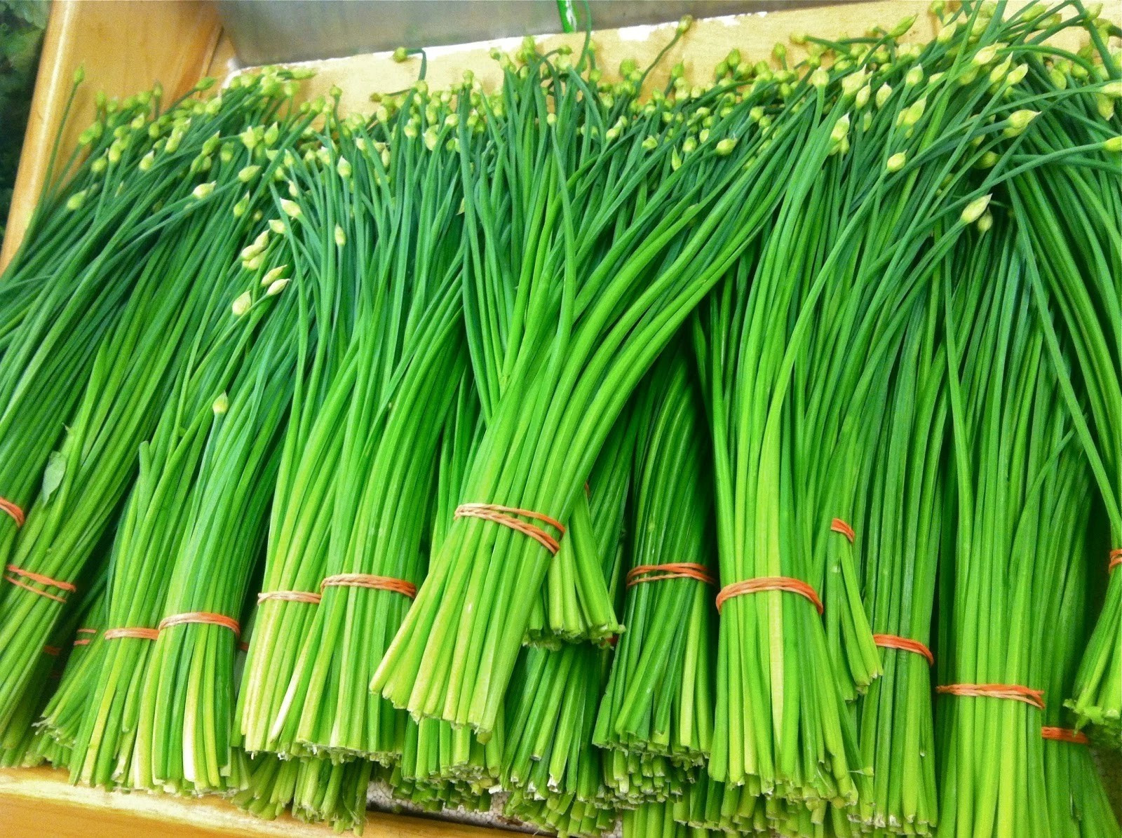 200+ Garlic Chives Seeds —- Perennial ————- Organic — Heirloom