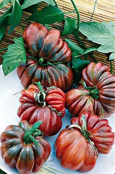 120+ Black From Tula Tomato Seeds – Heirloom – Organic – NON GMO ———- RARE