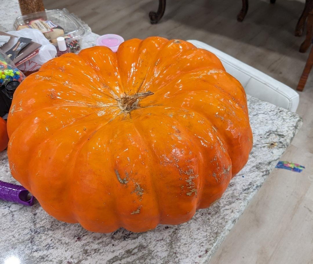 Pumpkin Cinderella 10 – 100 – 500 Seeds Rouge Vif D Estampes Pumpkin Pie