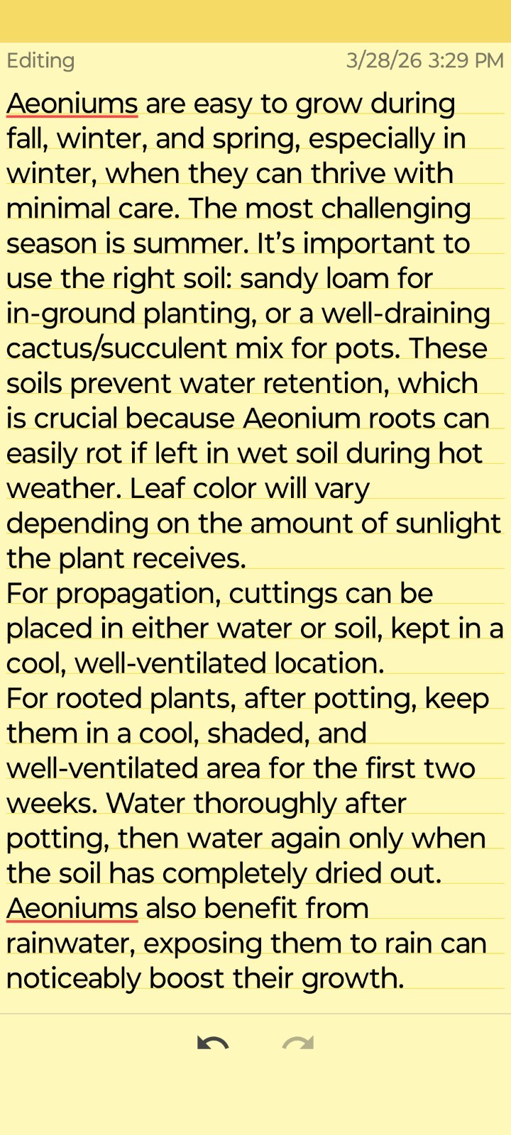 Two Aeonium Madeira Rose Cuttings 2-4″ Rosette