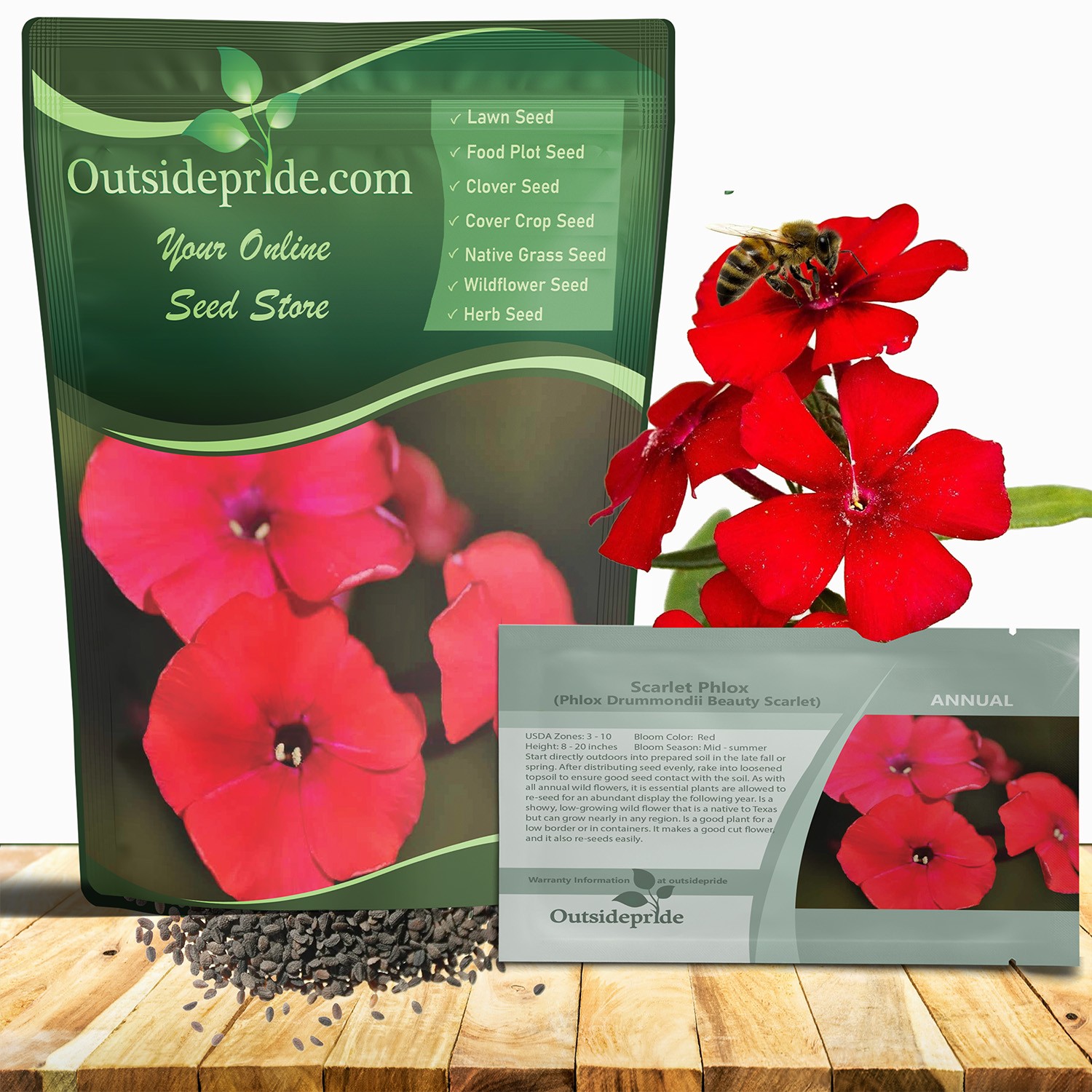 1 LB Scarlet Phlox Seed For Planting – Annual Red Phlox Wildflower Seeds