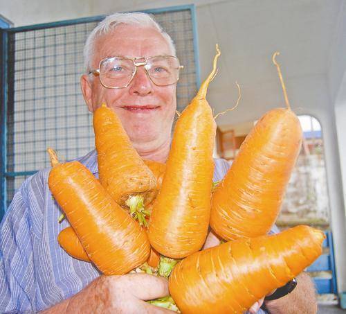 RARE BLEND*GIANT CARROT* MEDICINAL*HEALTHFUL* FIBRE*200 SEEDS*ANTIOXIDANT