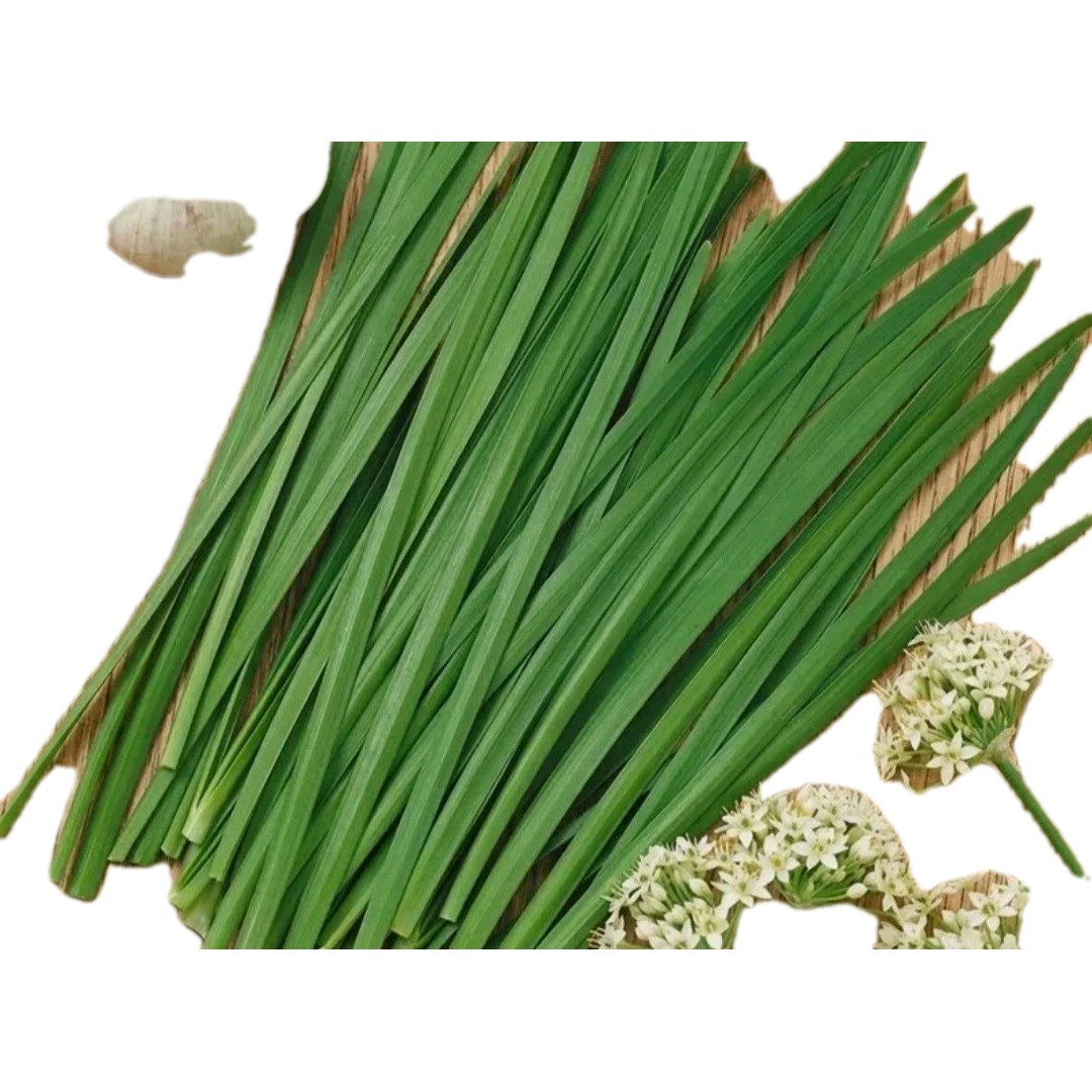 Garlic Chive Seeds 170 + Quantity Organic Non Gmo
