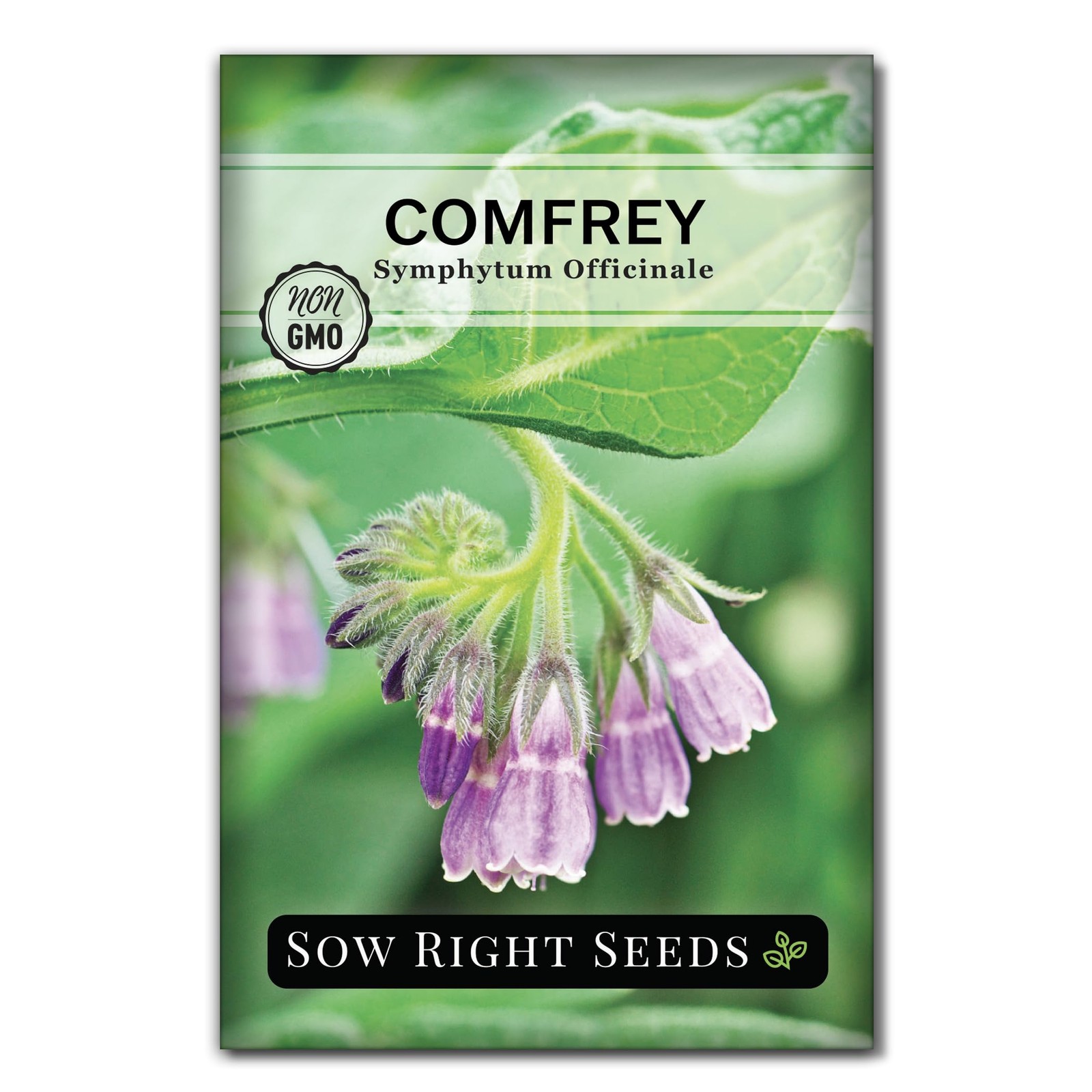 Sow Right Seeds Comfrey Seeds for Planting NonGMO Heirloom HighYield Comfr…