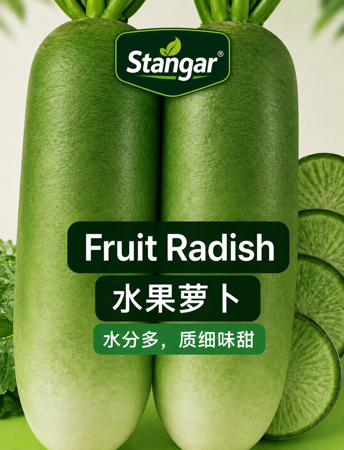 50+ F1 Hybrid Green Radish Seeds 50多粒杂交水果青萝卜种子 2025年产新种子