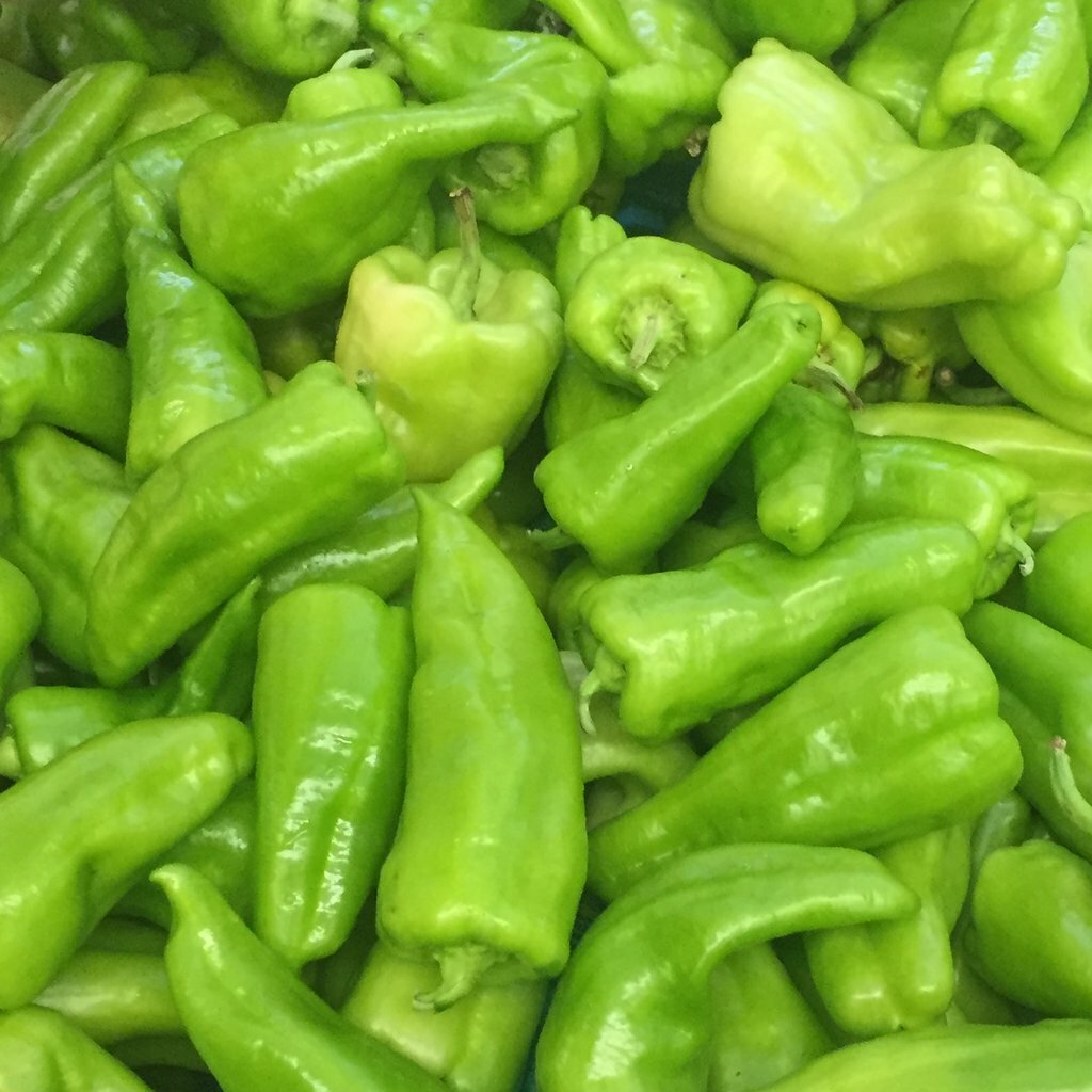 CUBANELLE PEPPER SEEDS 50+ VEGETABLE GARDEN culinary SWEET PEPPER FREE SHIPPING
