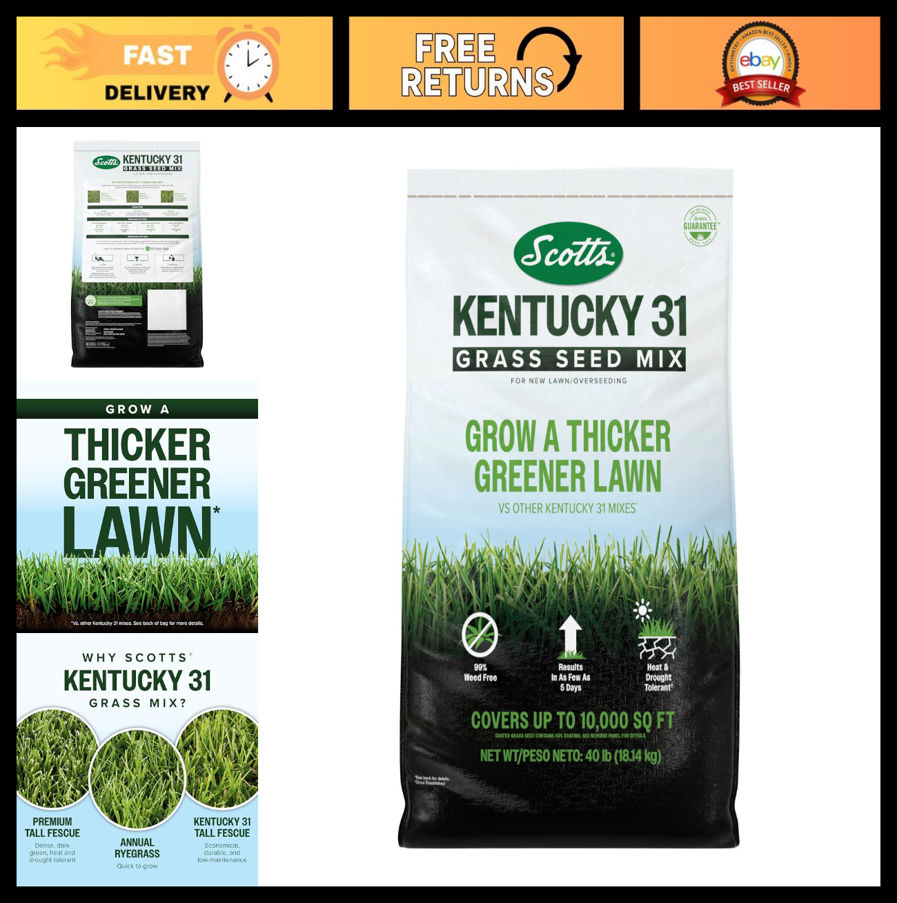 Kentucky 31 Grass Seed Mix for New Lawns & Overseeding – Grows Thicker, Covers 1