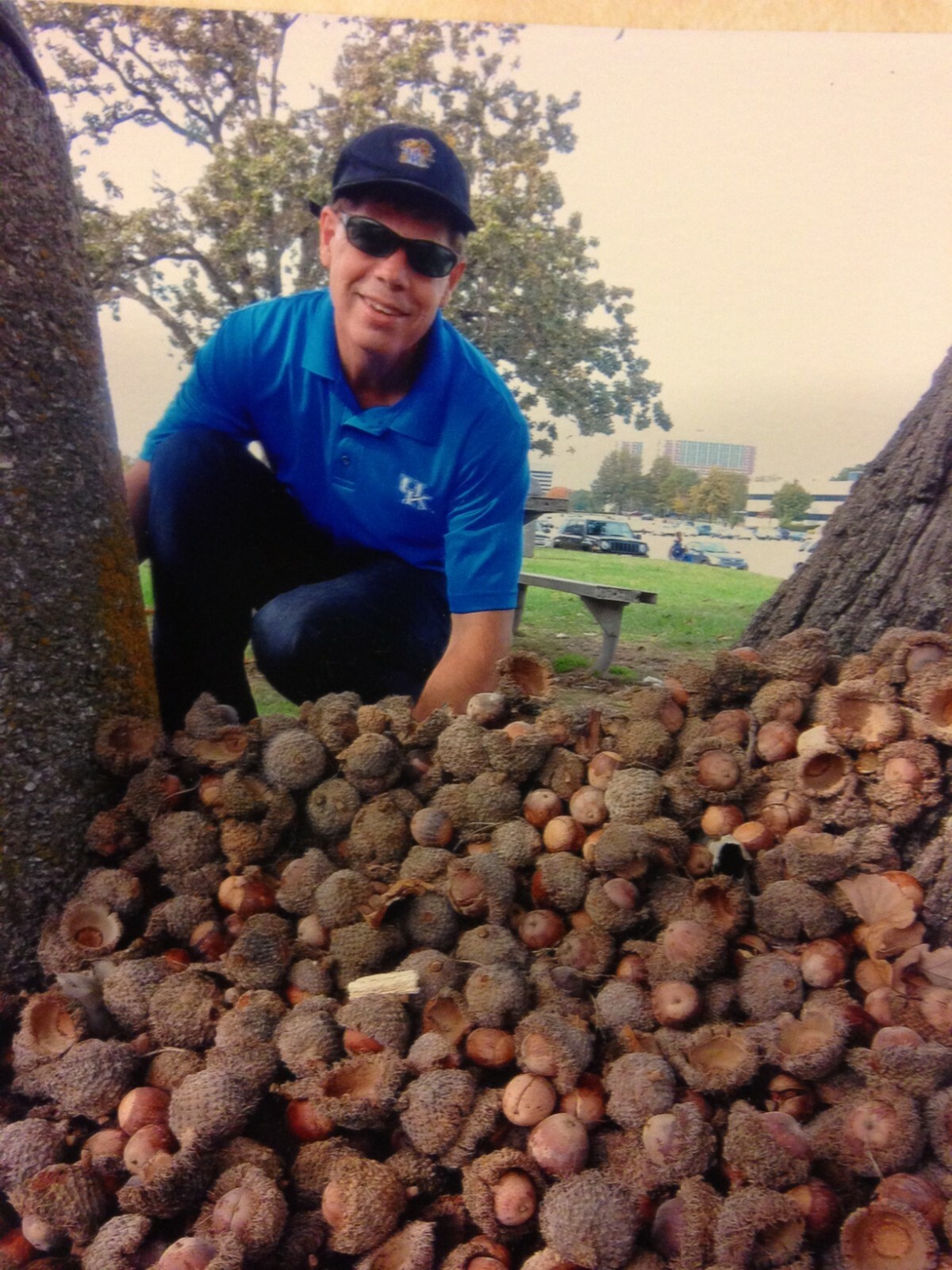 3 Bur Oaks, 2 Sawtooth Oaks & 1 Chinkapin (12-18″) w/15 Bur acorns