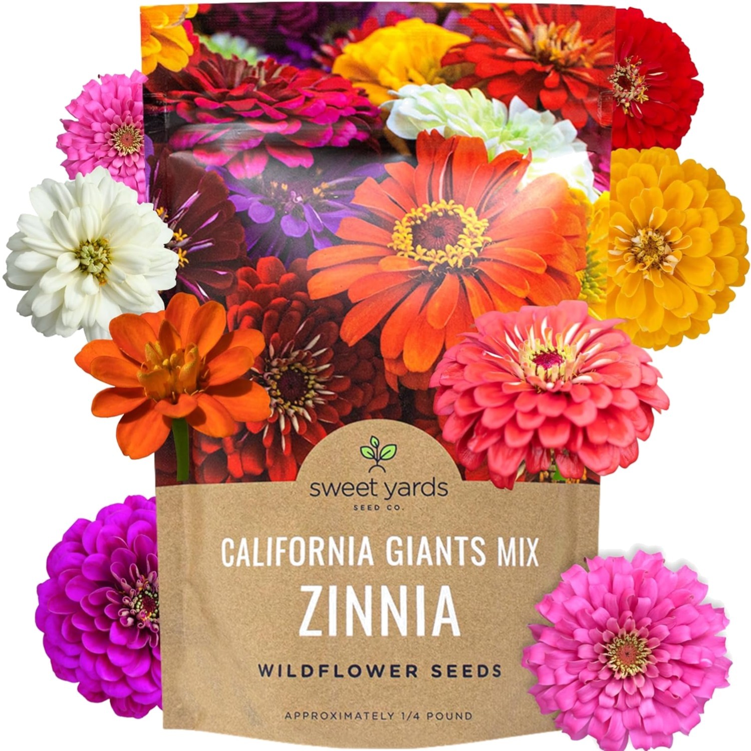 Bulk Zinnia Seeds – California Giants Mix – 1 Pound Bag Over 48,000 Flower Se…
