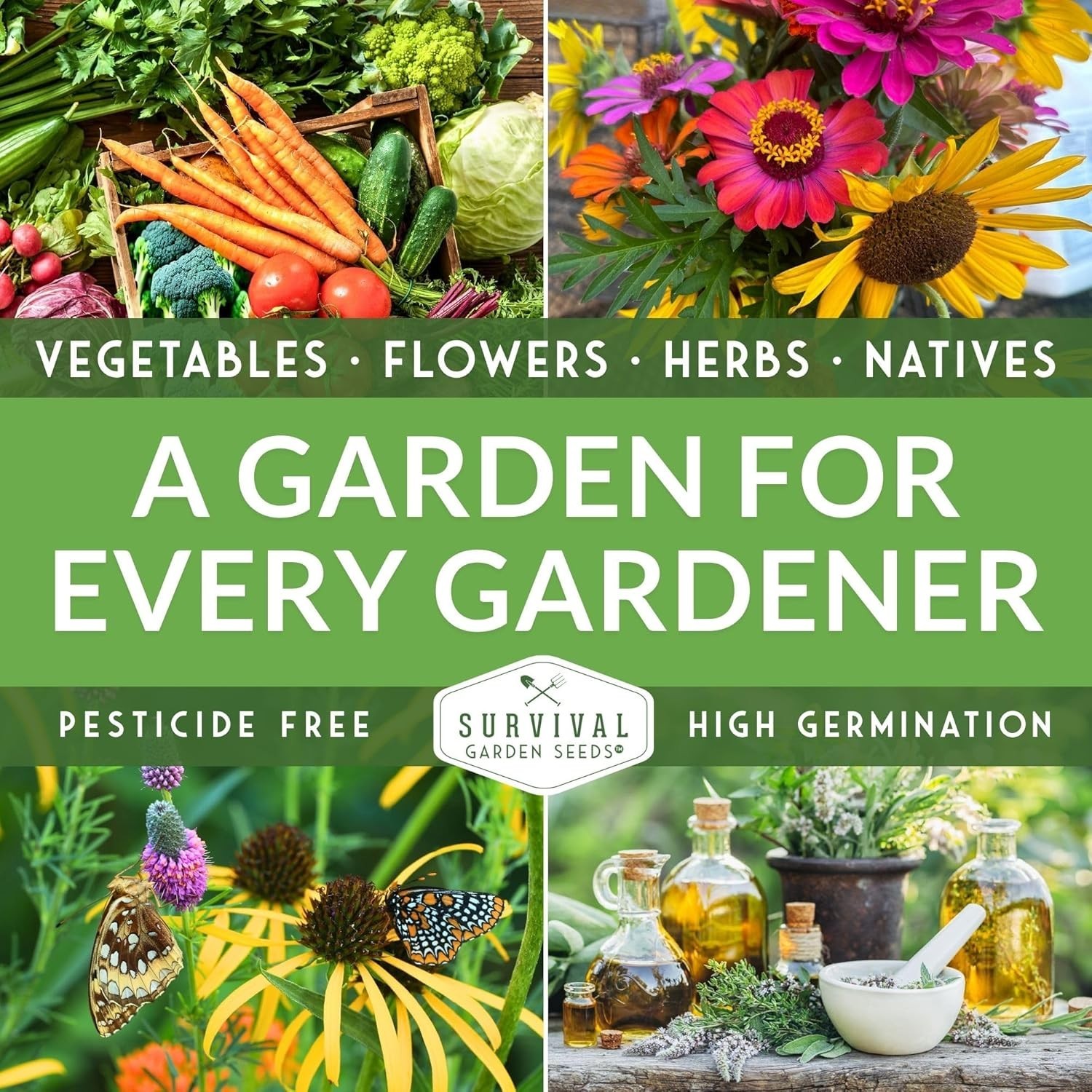 Sustainable Heirloom Mullein Seeds – High Germination Rate for Herbalist Gardens