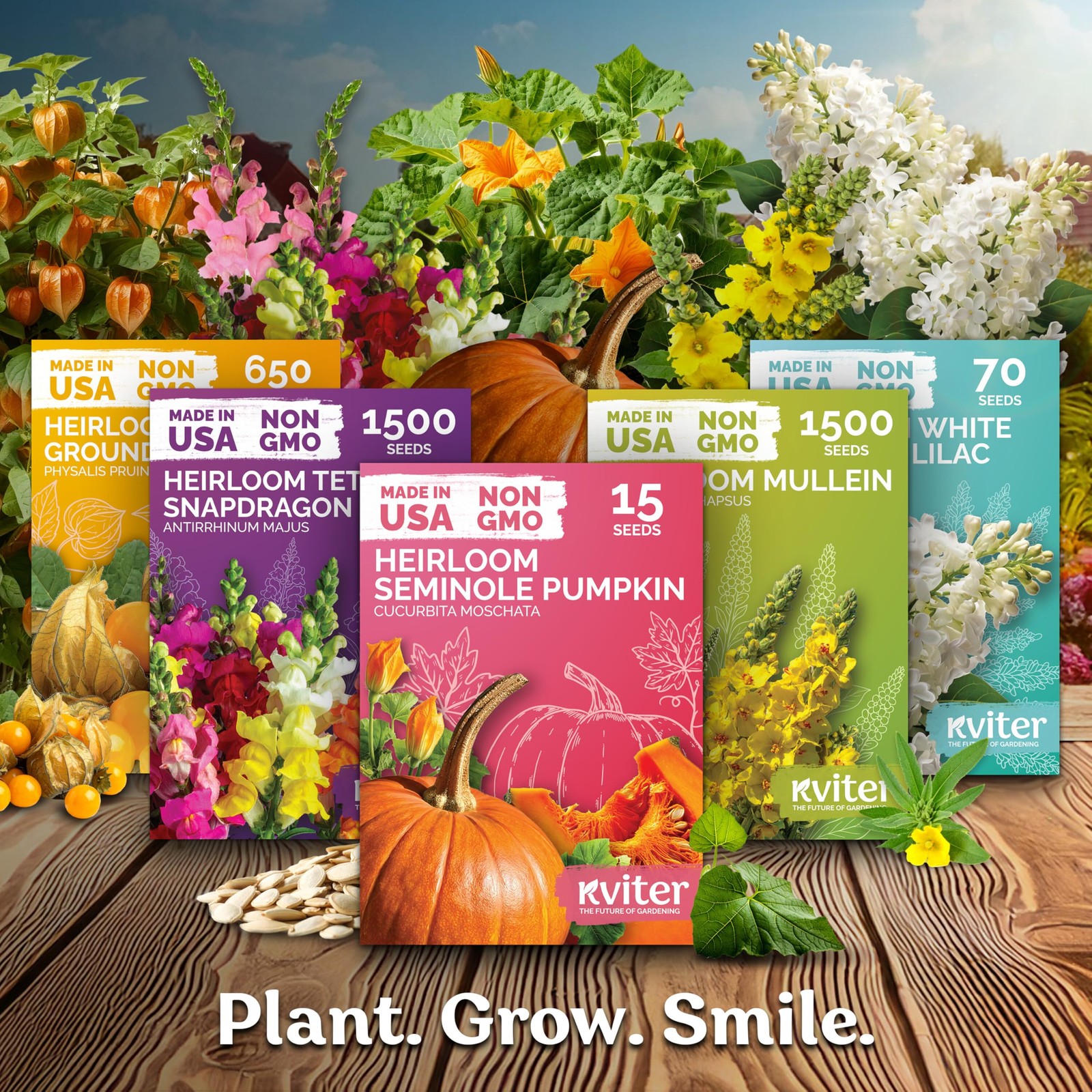 KVITER 150 Chief Mix Cockscomb Seeds (Celosia argentea)