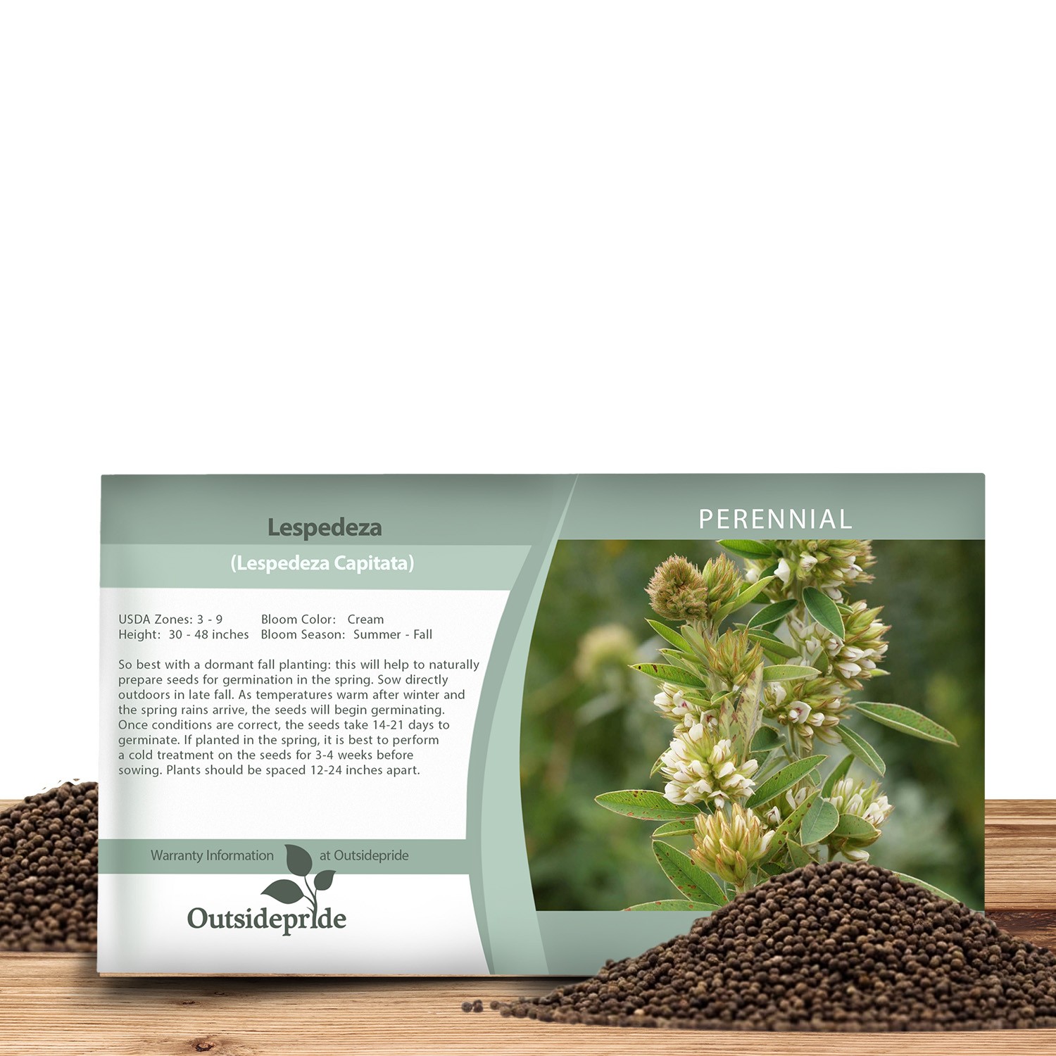 1000 Seeds Drought Resistant Lespedeza Capitata Round Headed Bush Clover