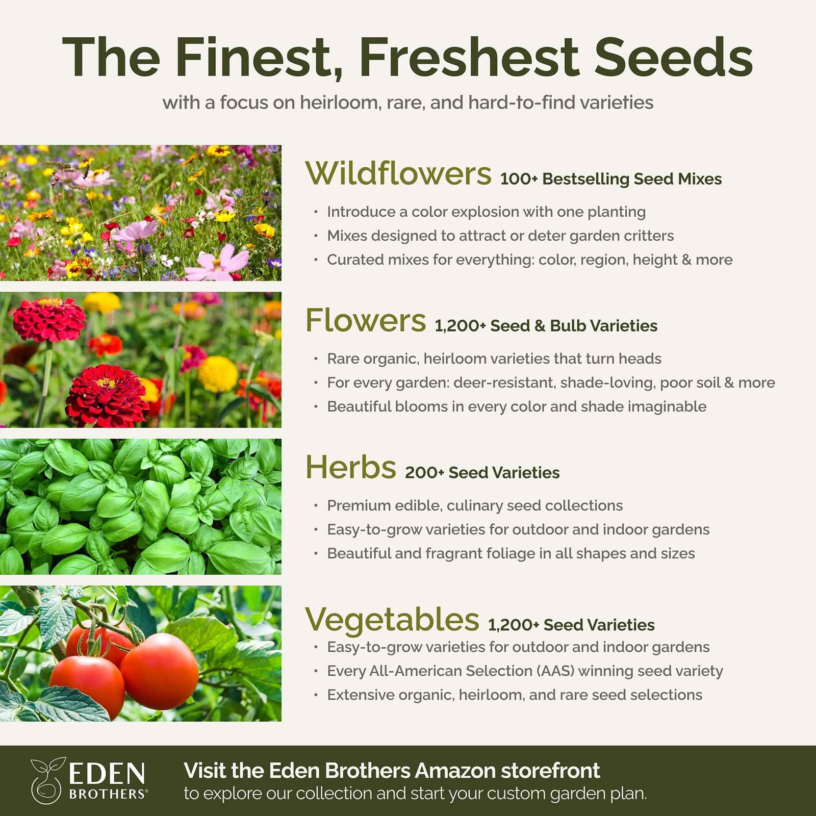 Southeast Wildflower Seed Mix, 1 lb, Attracts Pollinators, Zones 310