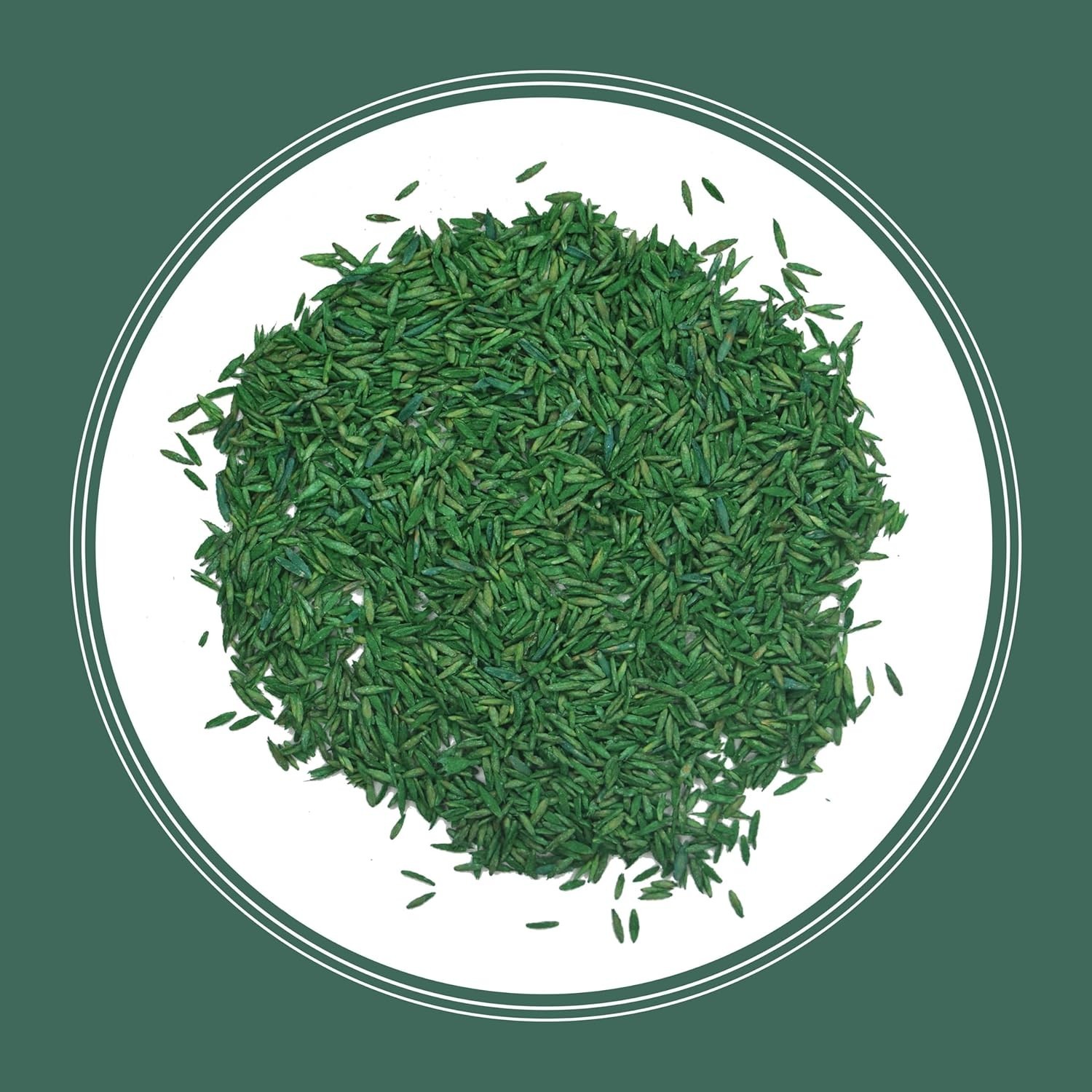 3 lb Kentucky 31 Tall Fescue Grass Seed – Fast Germination, Drought-Resistant