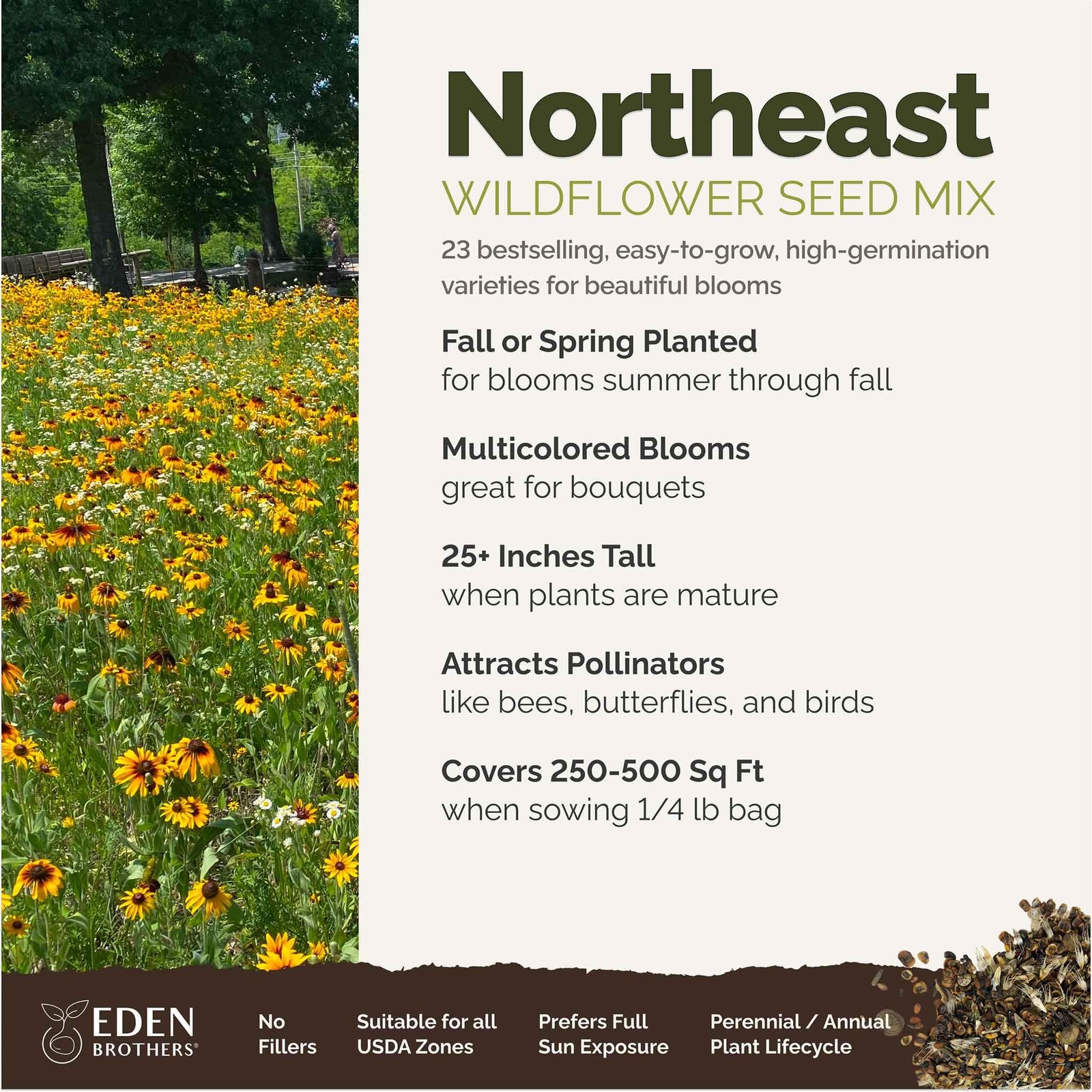 Northeast Wildflower Seed Mix, 120,000+ Seeds for Pollinators, Plant in