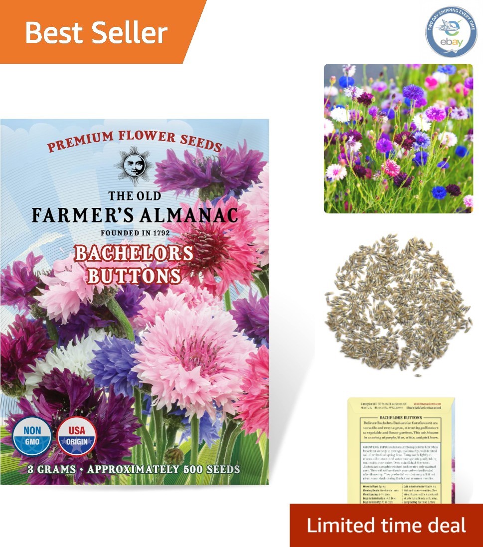 Bachelors Buttons Seeds – 500 Non-GMO Flower Seeds for Vibrant Blooms