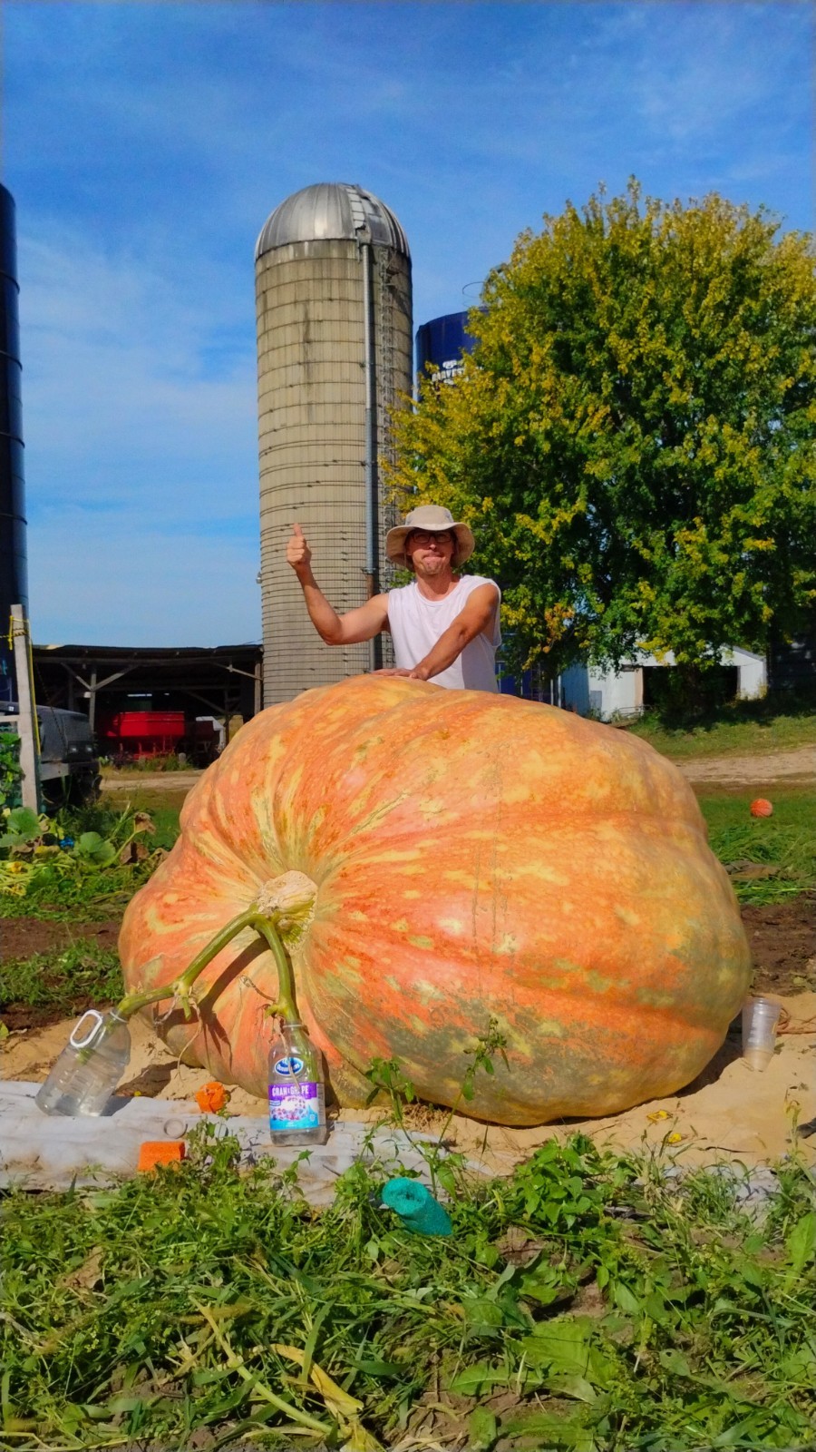 1925 LB Giant Pumpkin Seed 2025!!! Top Notch Genetics ! ( 1 Seed Per Order )