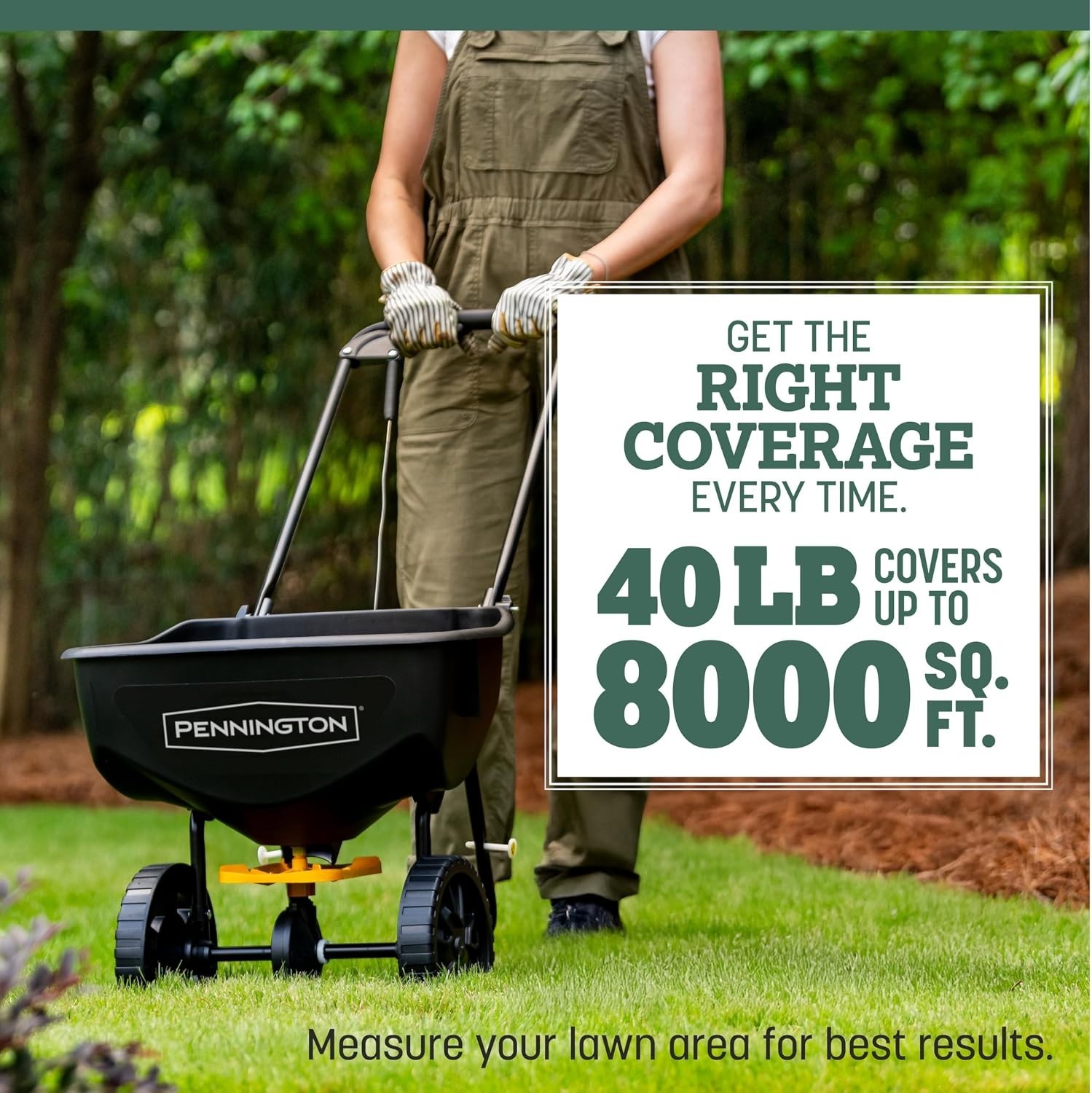 Tall Fescue Grass Seed for Lawns – Heat-Tolerant Turf