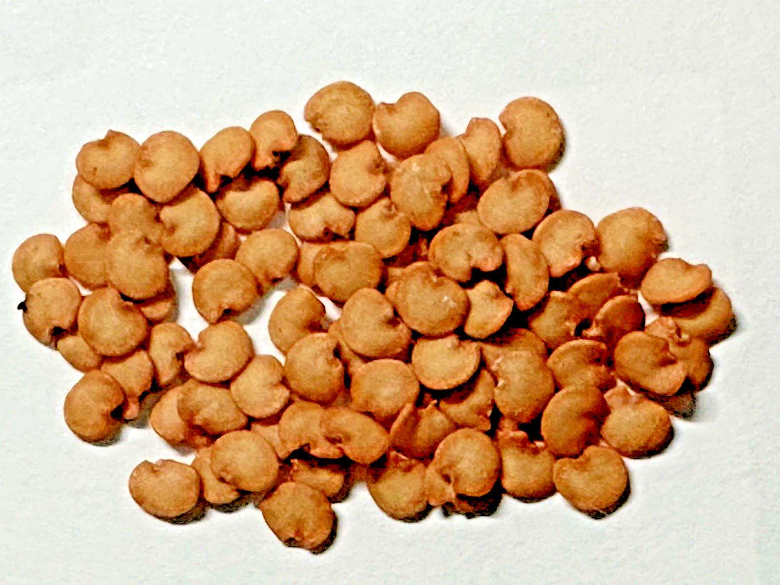 50 Asian Green Eggplant Fresh Organic Seeds For 2026~ Eggplant Seeds.