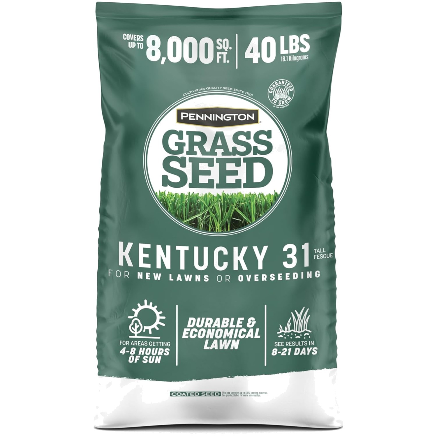 Tall Fescue Grass Seed for Lawns – Heat-Tolerant Turf