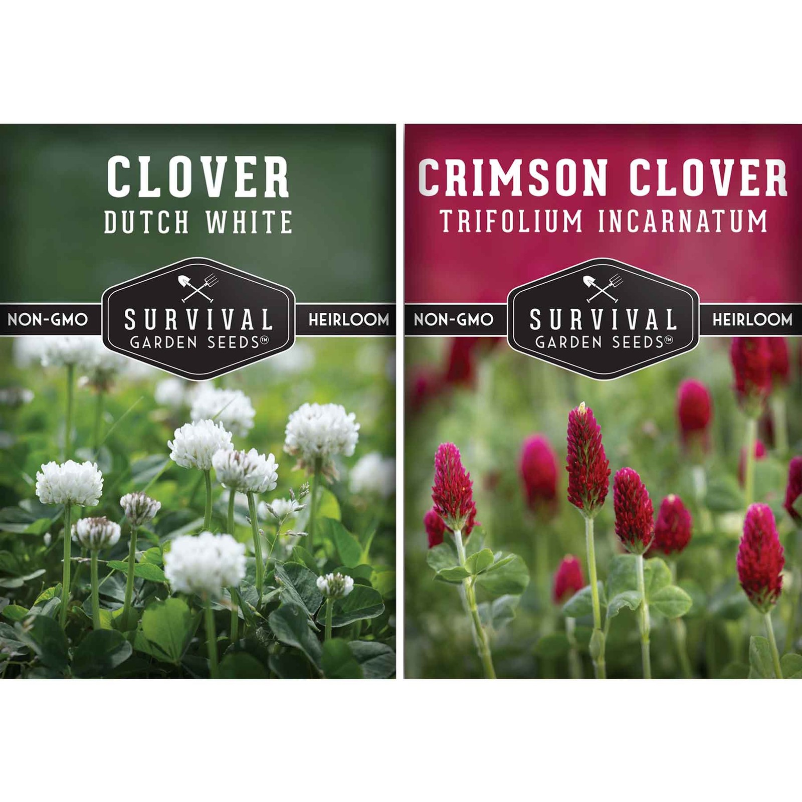 Clover Seed Collection – Dutch White Clover & Crimson Clover for Soil