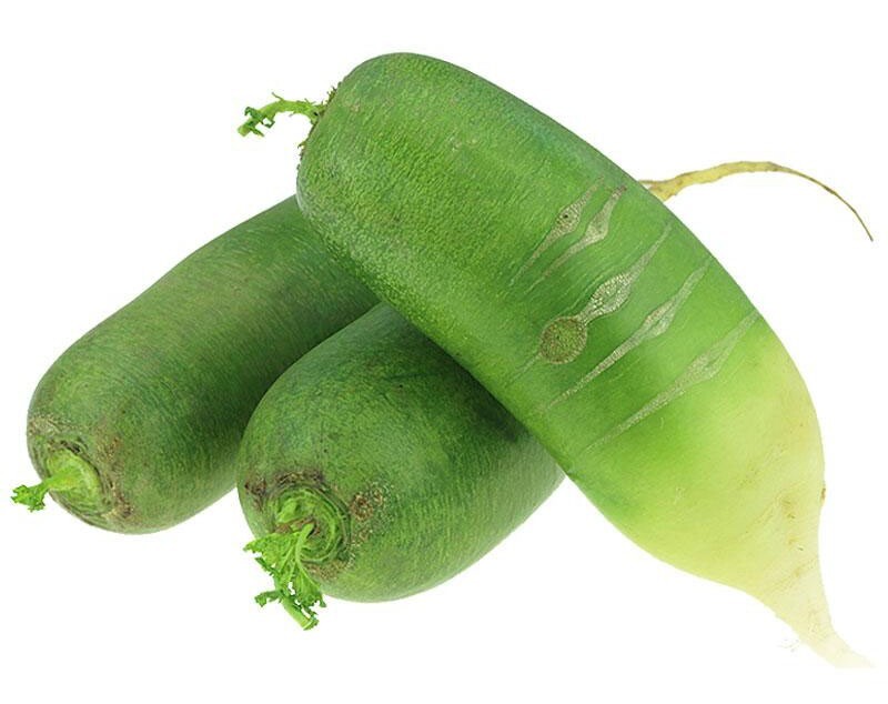 Non-GMO Asian Vegetable Radish Green Fruity Seeds 青岛翘头青萝卜 200+ Seeds