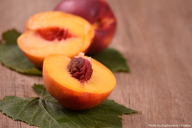 2 Yellow Nectarine Tree Seeds – Fresh, Non‑GMO – Free Shipping USA