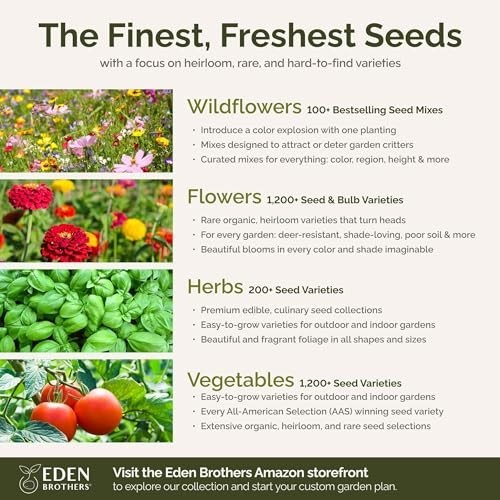 Texas Wildflower Mixed Seeds – 1 lb, 480,000+ Seeds, Attracts Pollinators, Plant