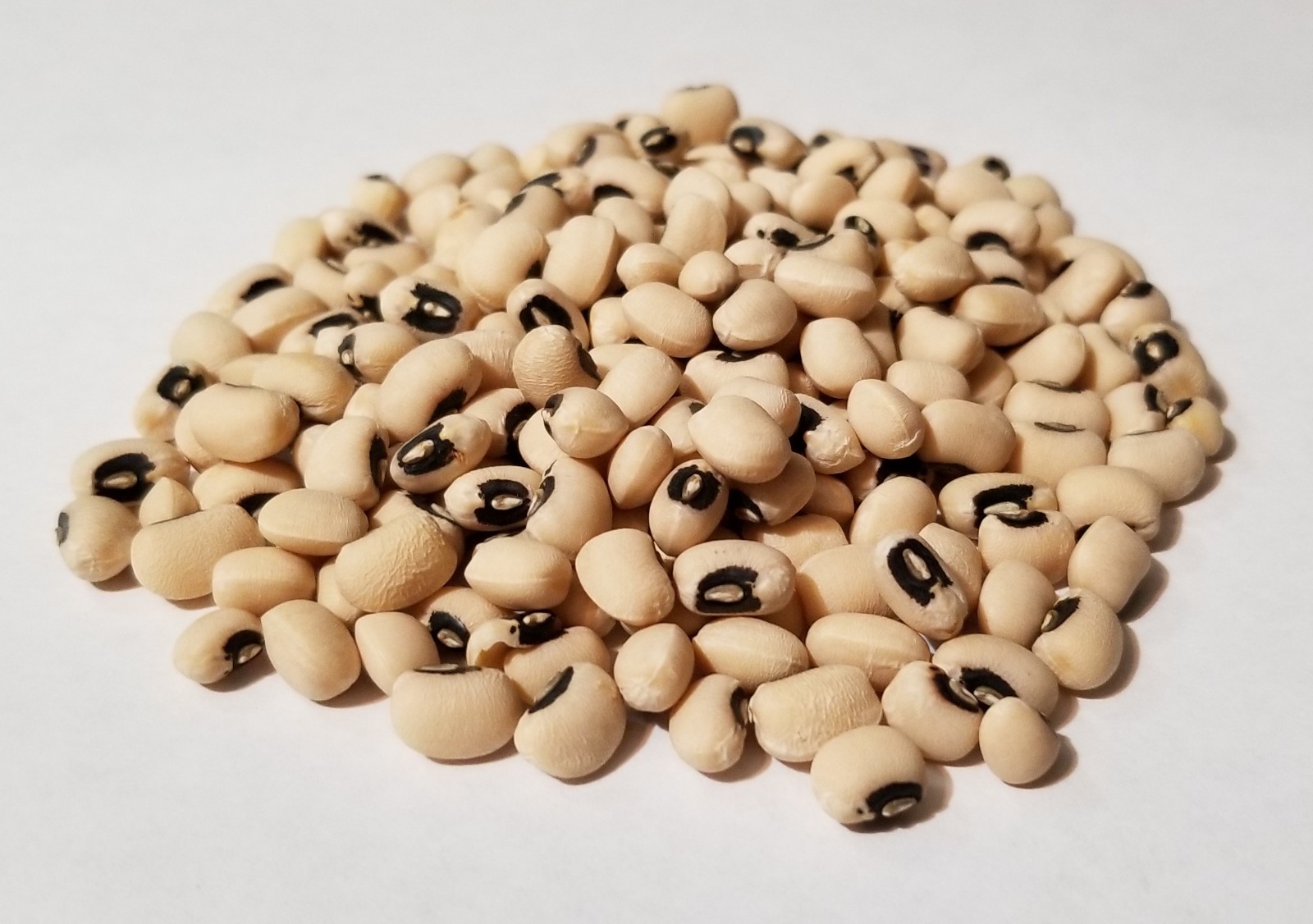 California Blackeye Cowpea Seeds – Non-GMO