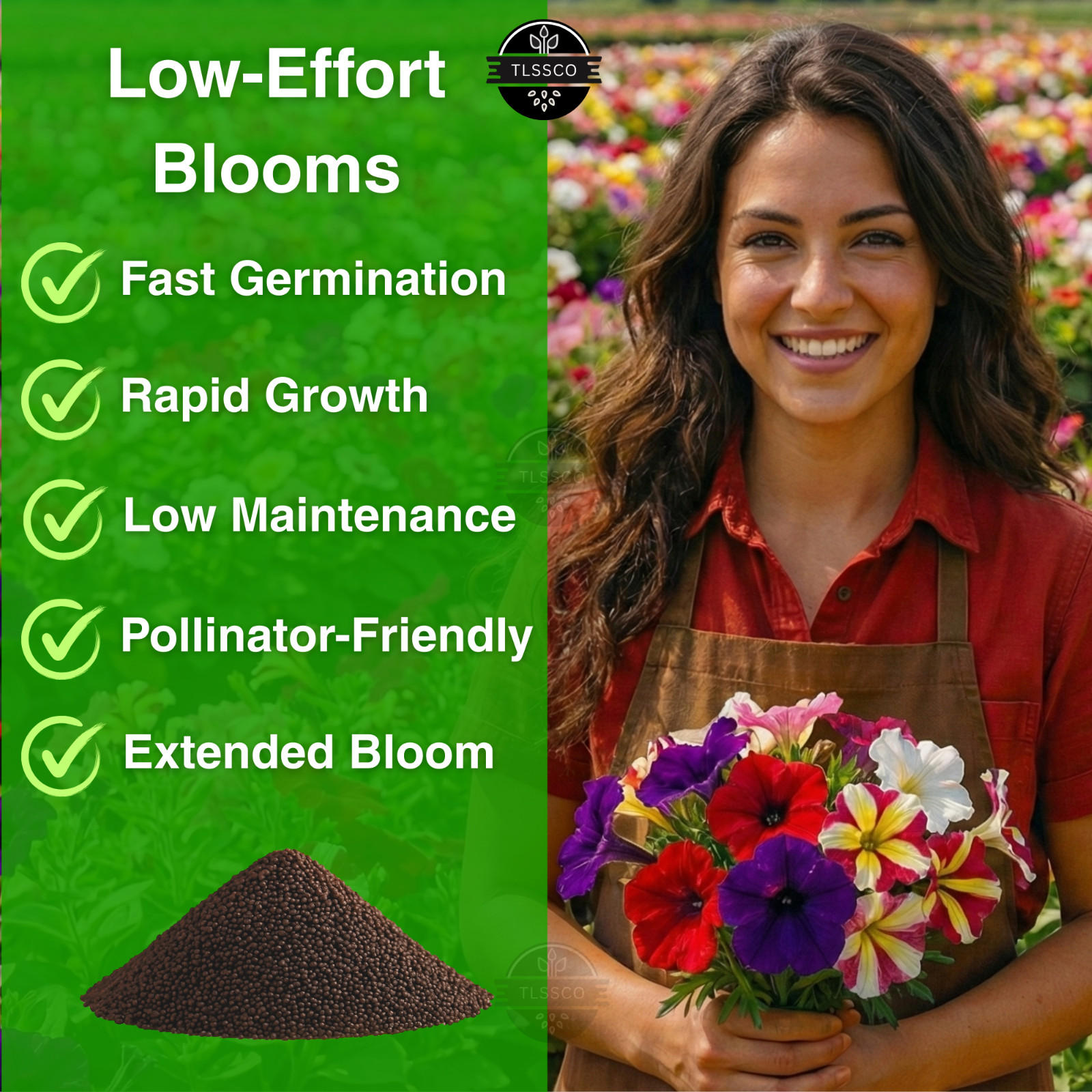 5000+ Petunia Seeds – Mixed Rainbow Color, Bonsai, Grandiflora Flowers, 1500 mg