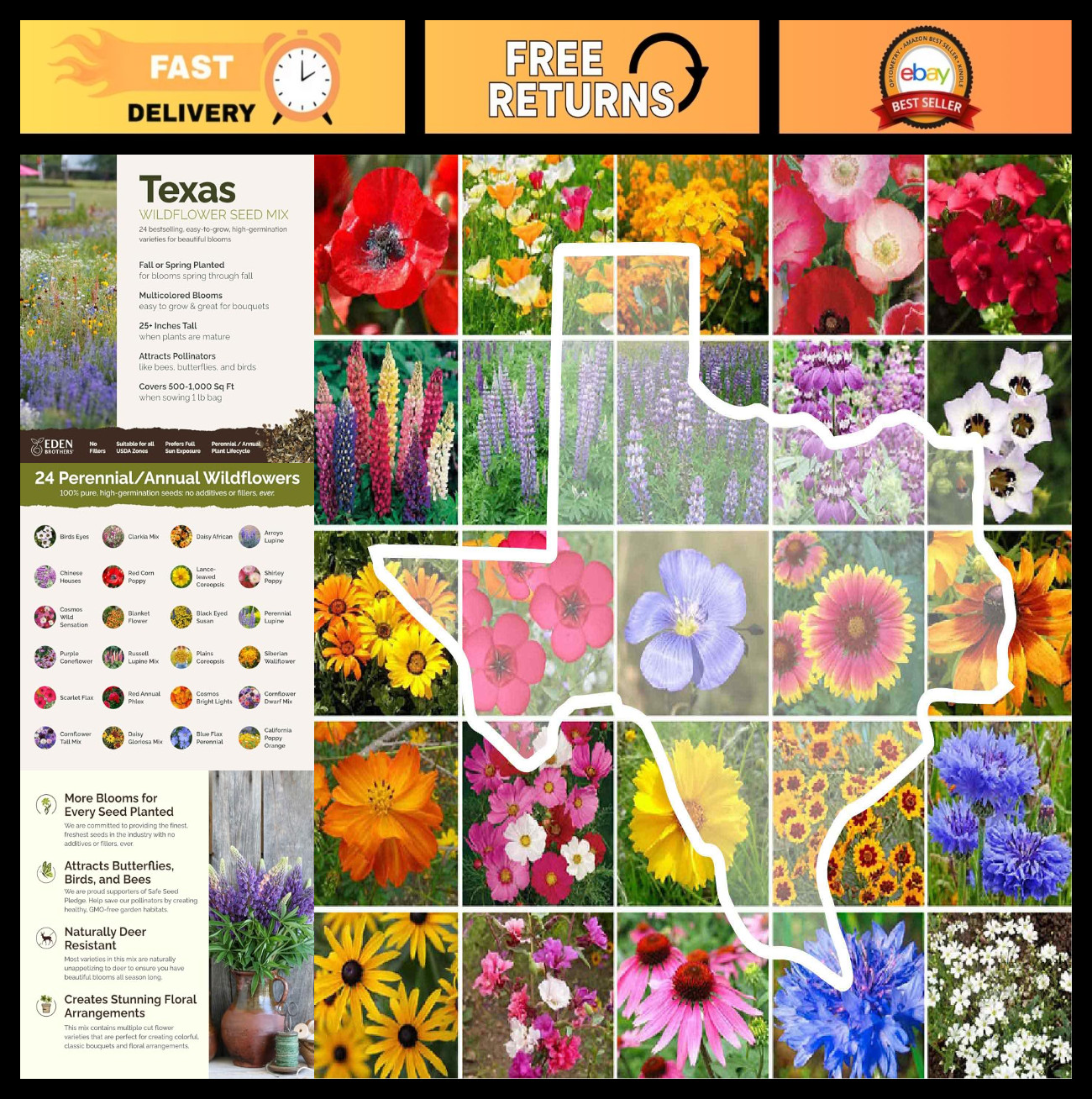 Texas Wildflower Mixed Seeds – 1 lb, 480,000+ Seeds, Attracts Pollinators, Plant
