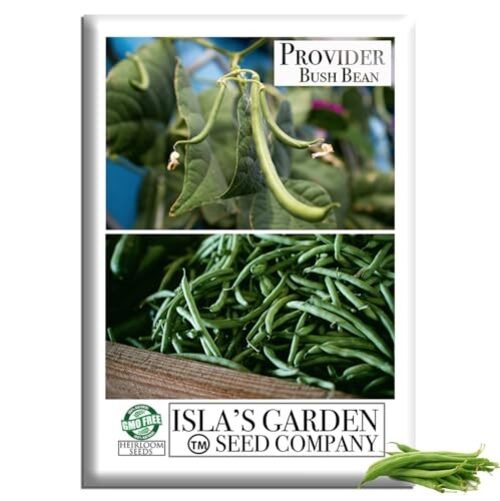 Provider Bush Green Bean Seeds (Phaseolus vulgaris) – 30+ Non-GMO Heirloom by