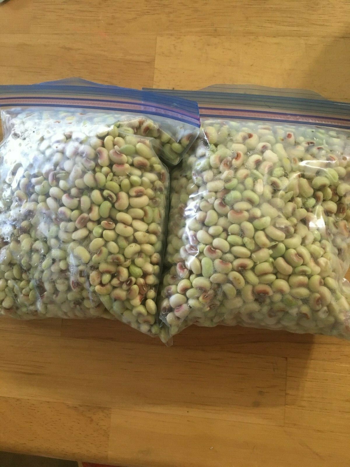 Mississippi Pinkeye 2 Purple Hull Peas Cowpeas Benefits St. Jude