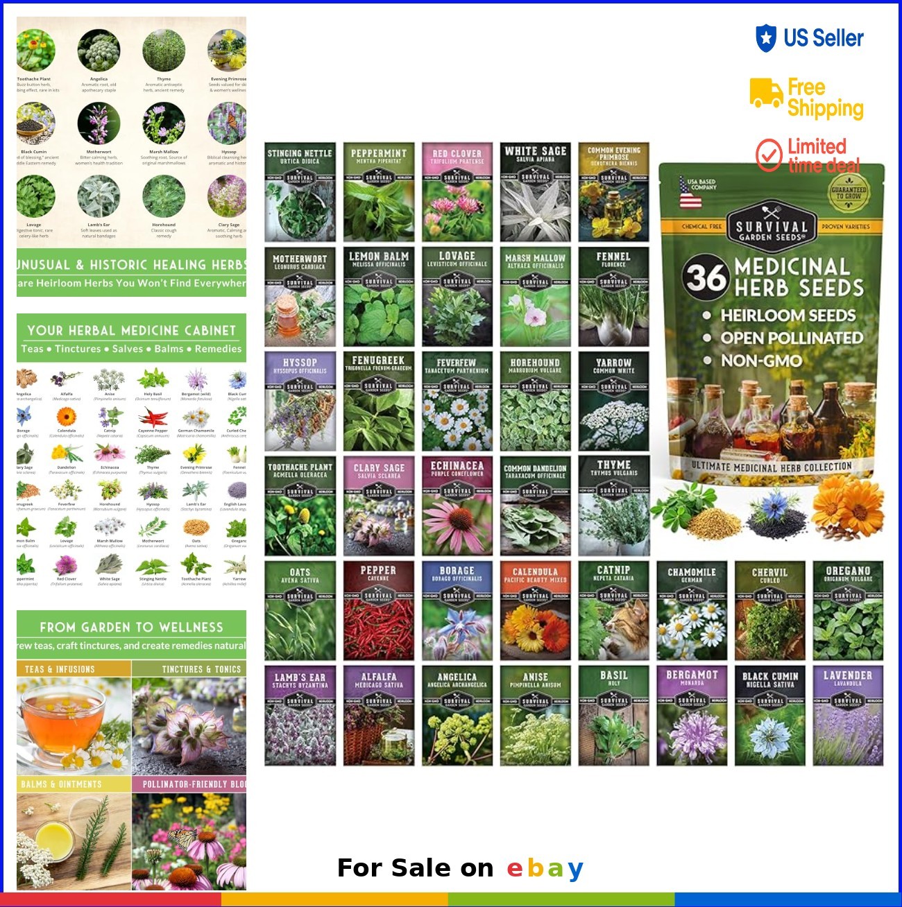 Medicinal Herb Seeds Variety Pack 36 Heirloom Non GMO Healing Plants for
