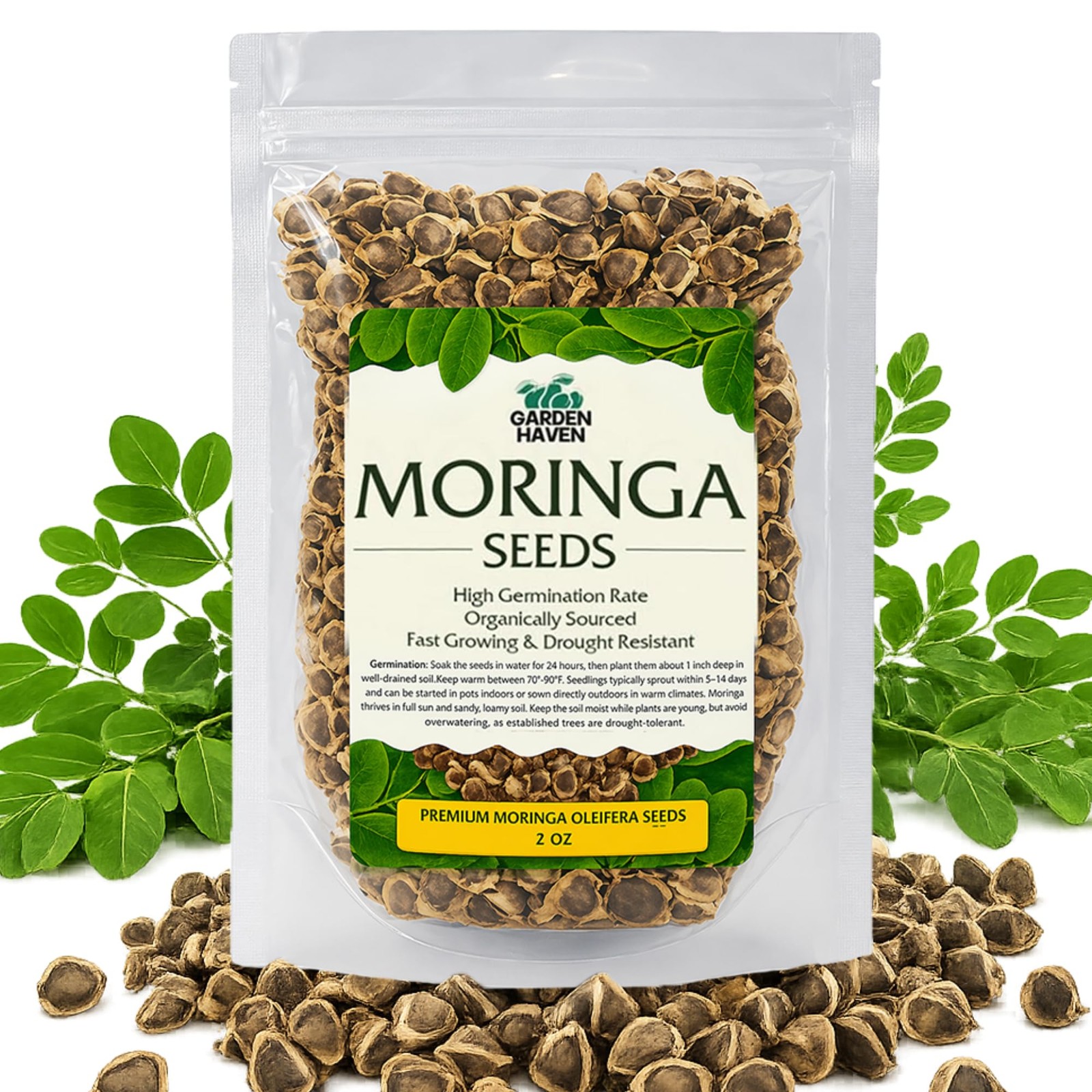 Moringa Seeds 2 oz (200+ Seeds) | PKM1 Premium Quality | Edible Green