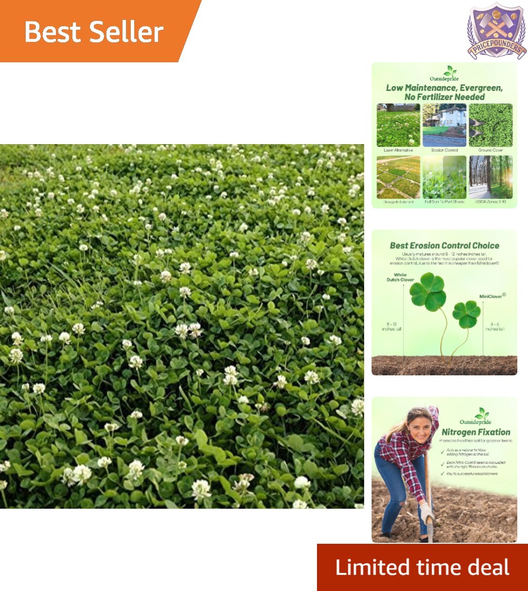 White Dutch Clover Seed 5 lbs Nitrocoated Inoculated Ground Cover Erosion Con…