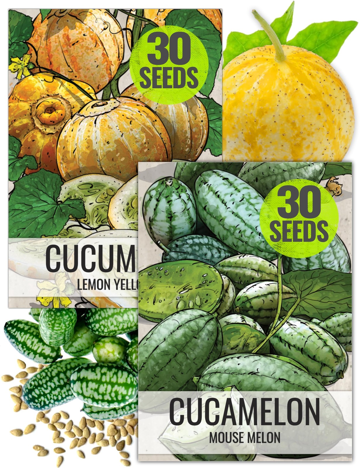 Seed Needs Cucamelon Seeds/Lemon Cucumber Seeds for Planting – Non-GMO, Heirl…