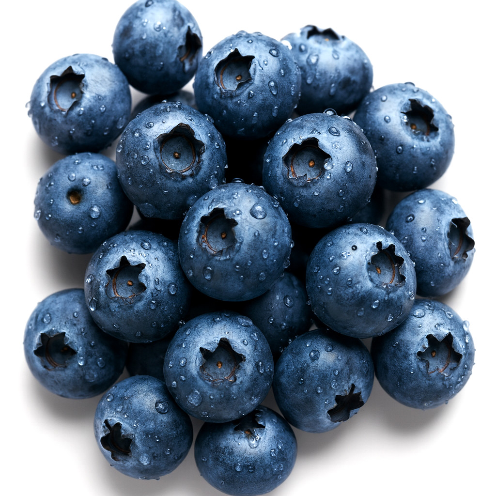 200+ EUROPEAN BLUEBERRY SEEDS BILBERRY RARE AUTUMN LOW BUSH SWEET DELICIOUS USA