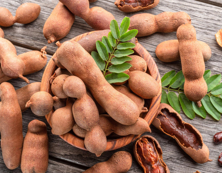 Tamarind Plant – 3-5″Tall – 4″Pot – Tropical Fruit Tree for Gardens – Zones 9–11