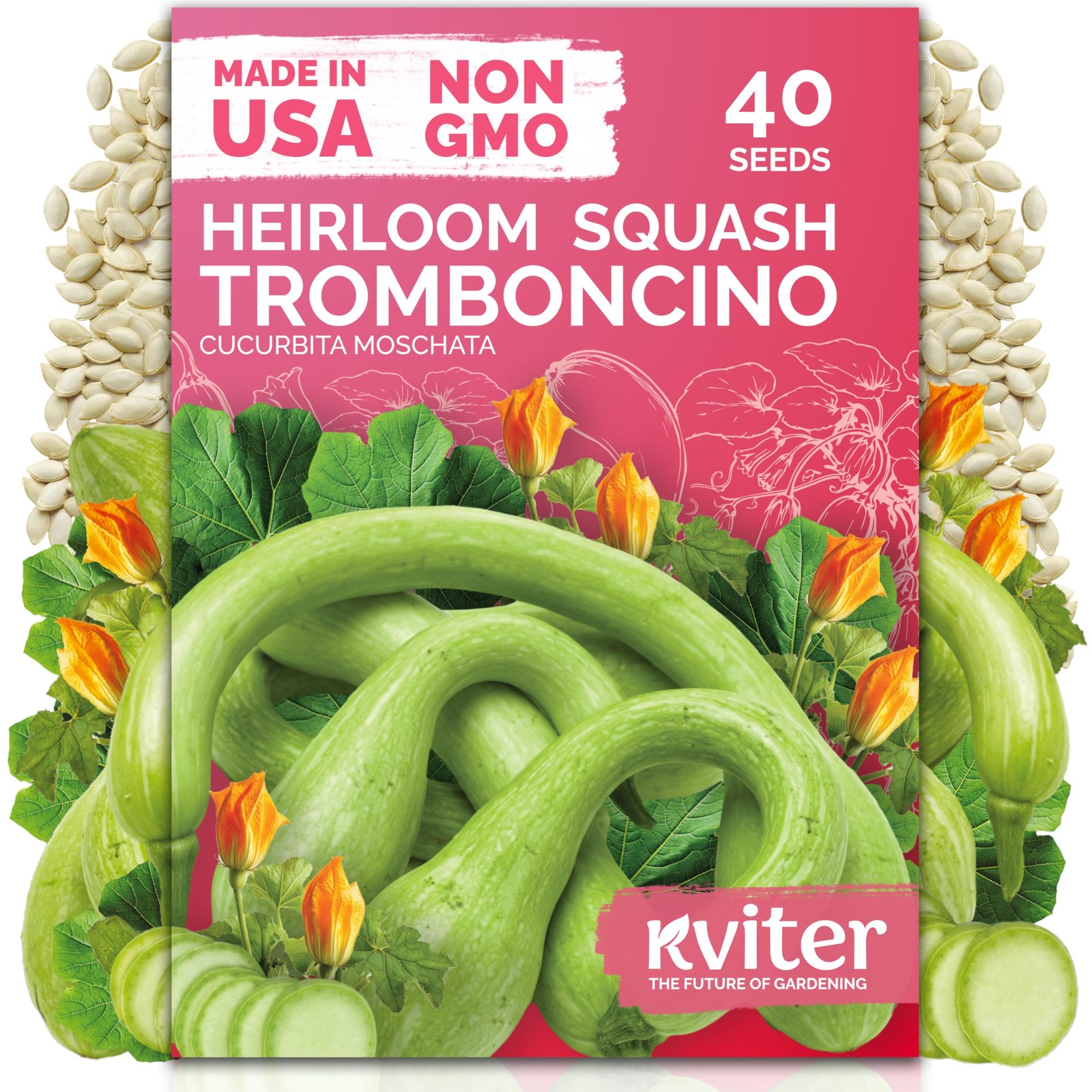 KVITER 40 Tromboncino Squash Seeds (Cucurbita Moschata)