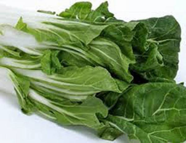 SWISS CHARD SEEDS, LARGE WHITE RIBBED, HEIRLOOM, 100 SEEDS, NON GMO