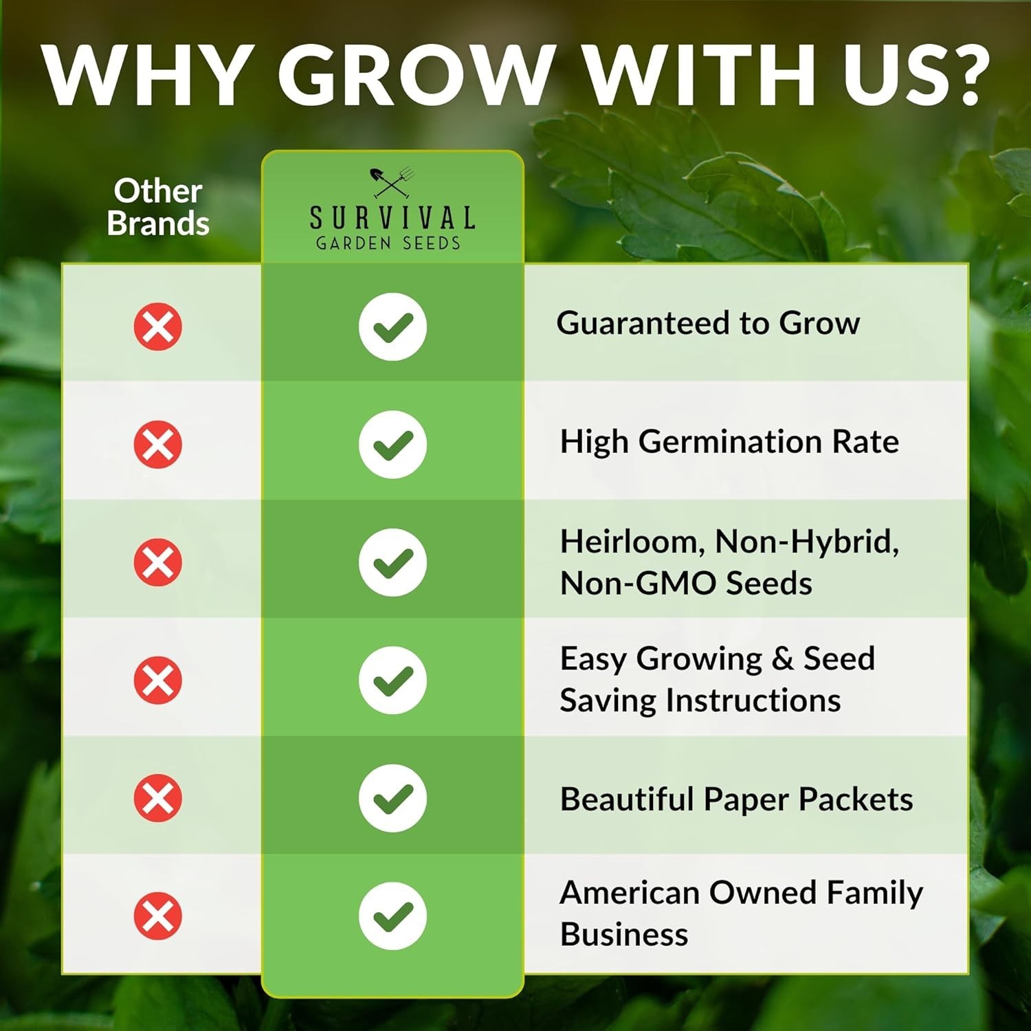Sustainable Heirloom Mullein Seeds – High Germination Rate for Herbalist Gardens