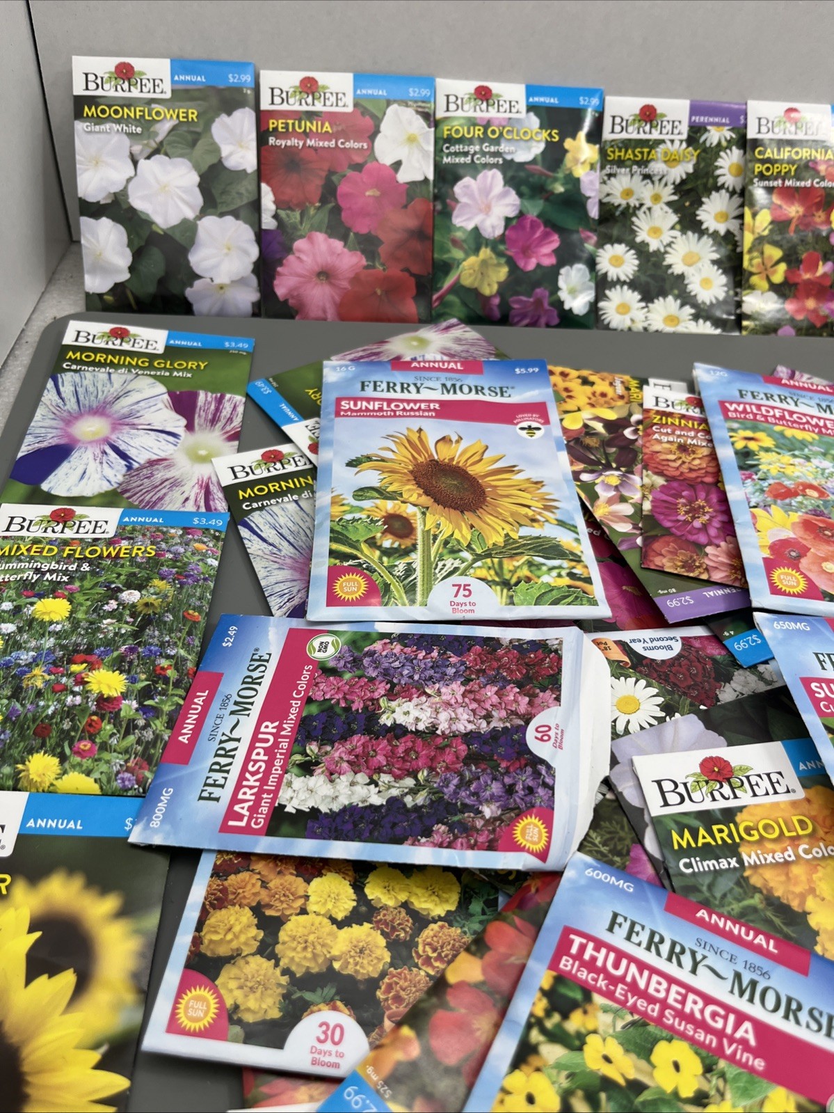 Flowers &Vegetable Plant Seeds (Assorted Lot of 100) sell by 11/26 Garden