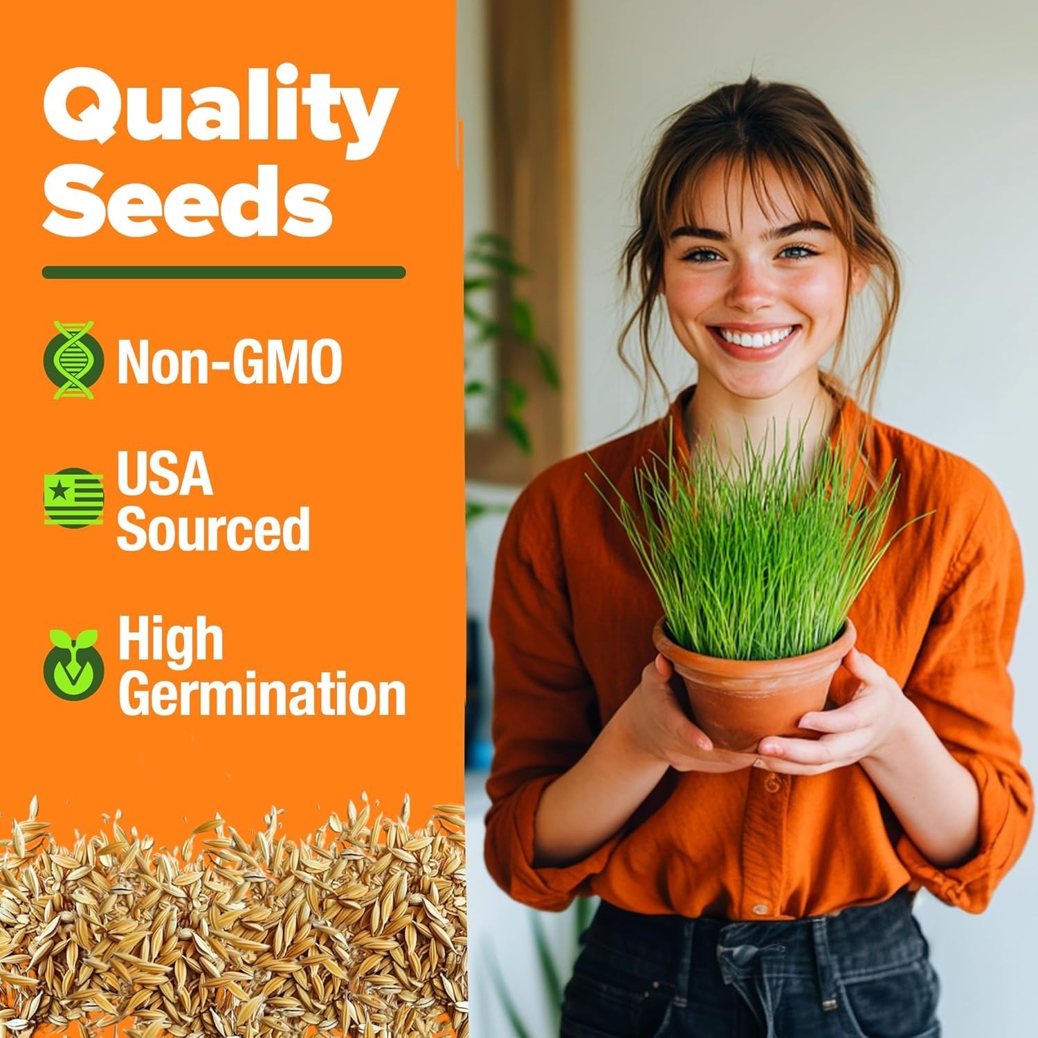 Pet-Friendly 1lb Heirloom Cat Grass – -Round Nutrition for Cats & Small Pets