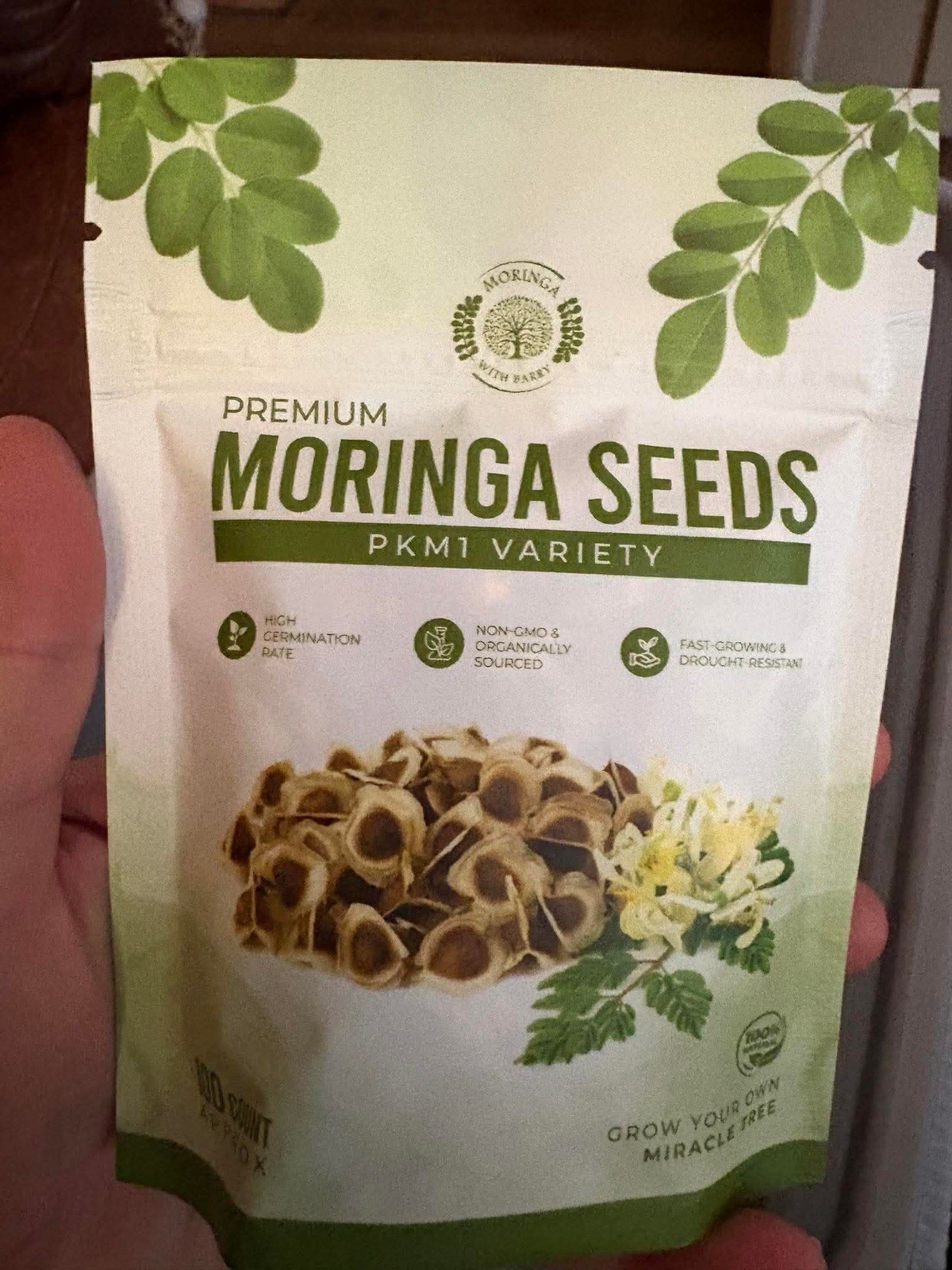 Moringa with Barry Premium Moringa Seeds Pkm1 Variety 100 Count