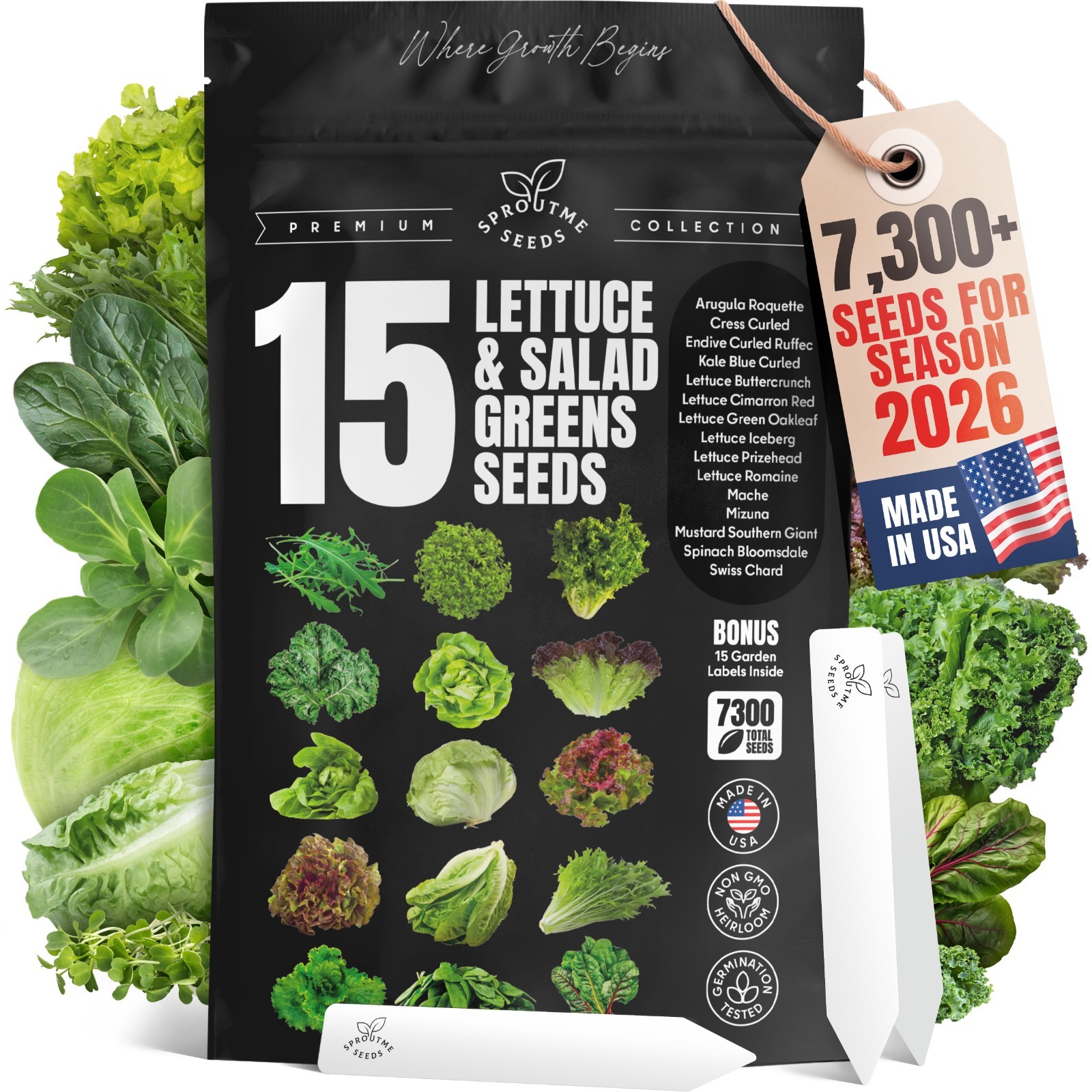 Lettuce Garden Starter Kit: 15 Non-GMO Heirloom Salad Seeds