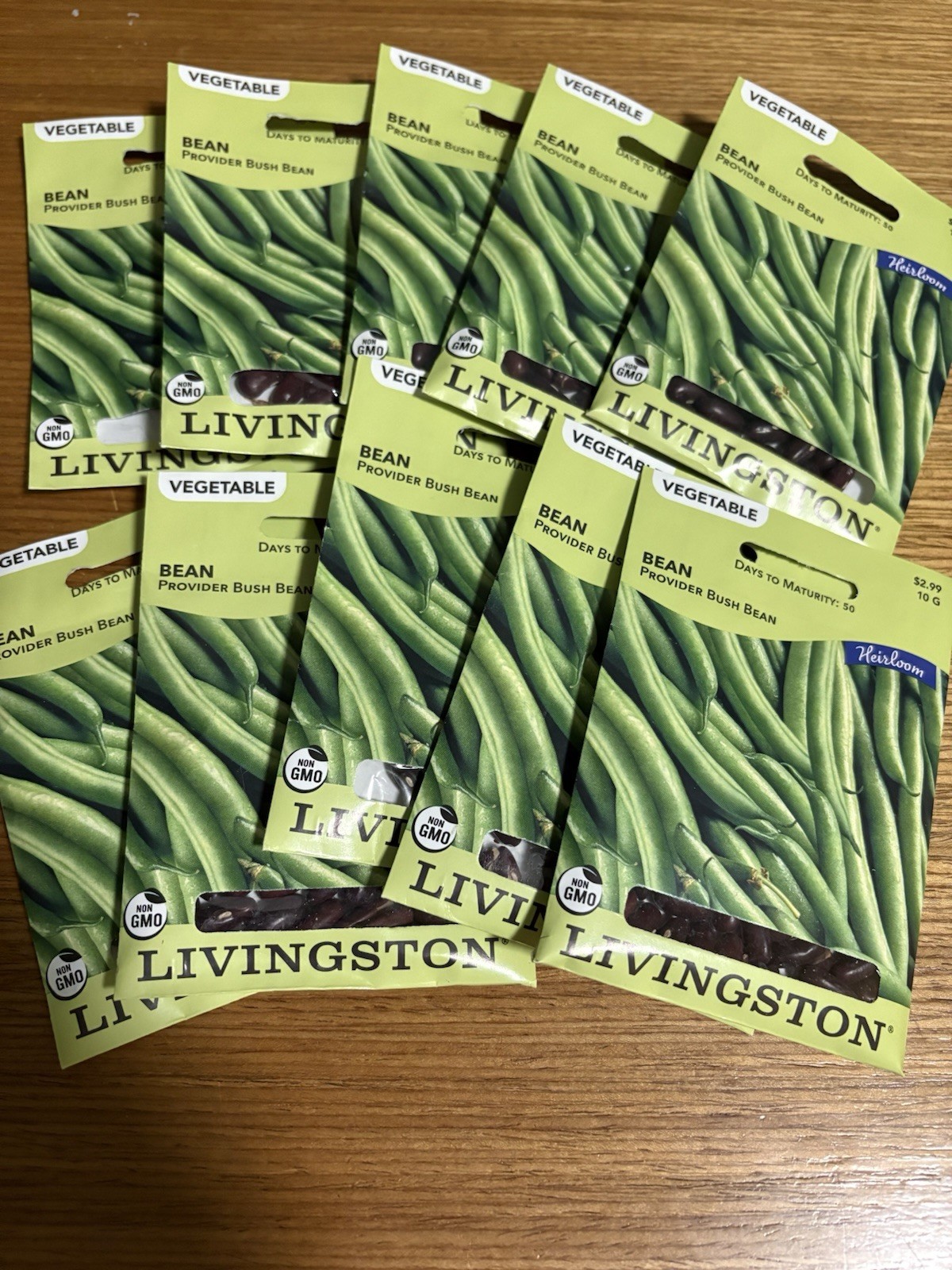 10 PACKS OF 10G Livingston Provider Bush Bean Non-GMO Heirloom Vegetable Seeds