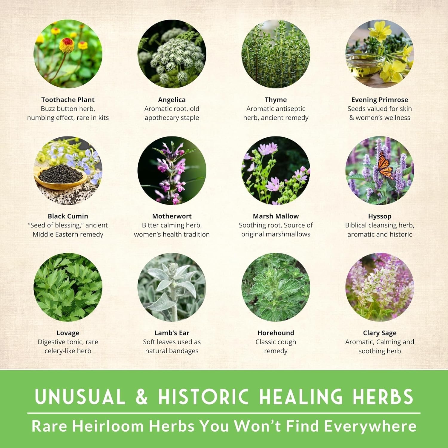 All-in-One Medicinal Herb Seed Kit – 36 Non-GMO Varieties for Natural Remedies