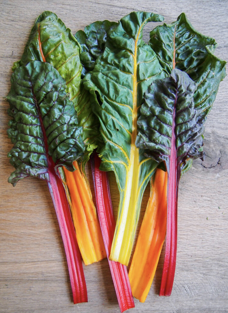 RAINBOW SWISS CHARD – ORGANIC – 50 SEEDS