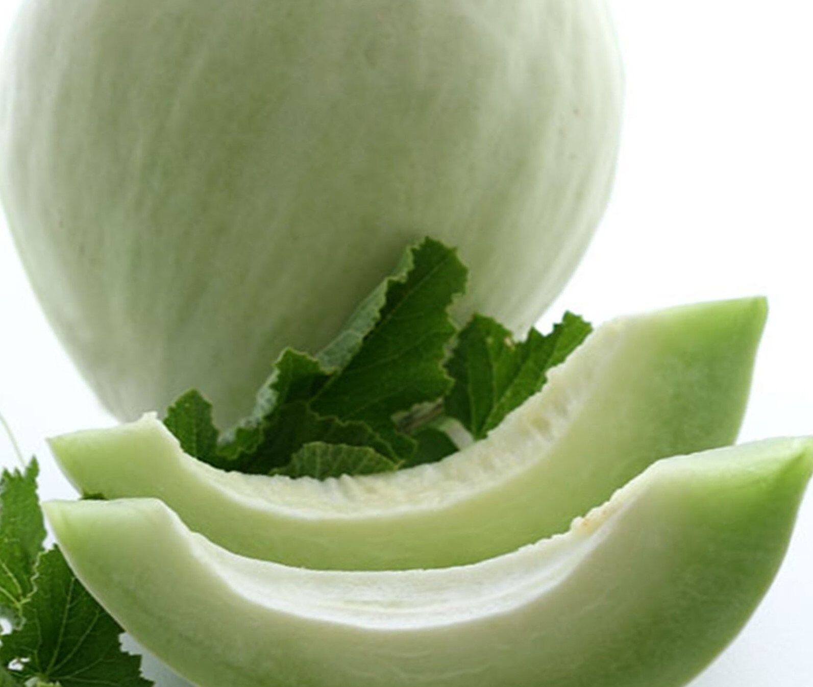 30+ Honeydew Green Melon Seeds 30+Heirloom Melon Seeds Fresh NON-GMO #90